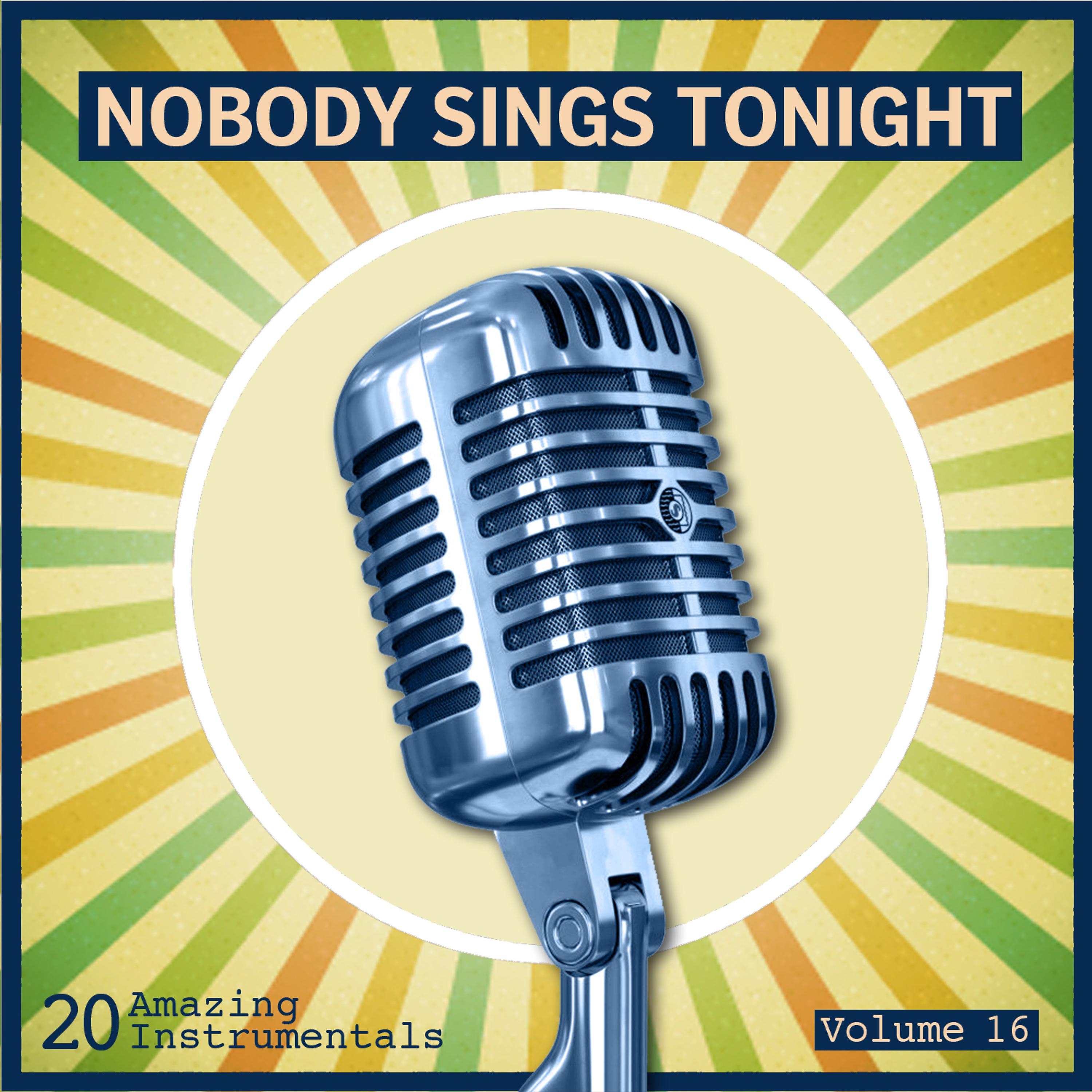 Постер альбома Nobody Sings Tonight: Great Instrumentals Vol. 16