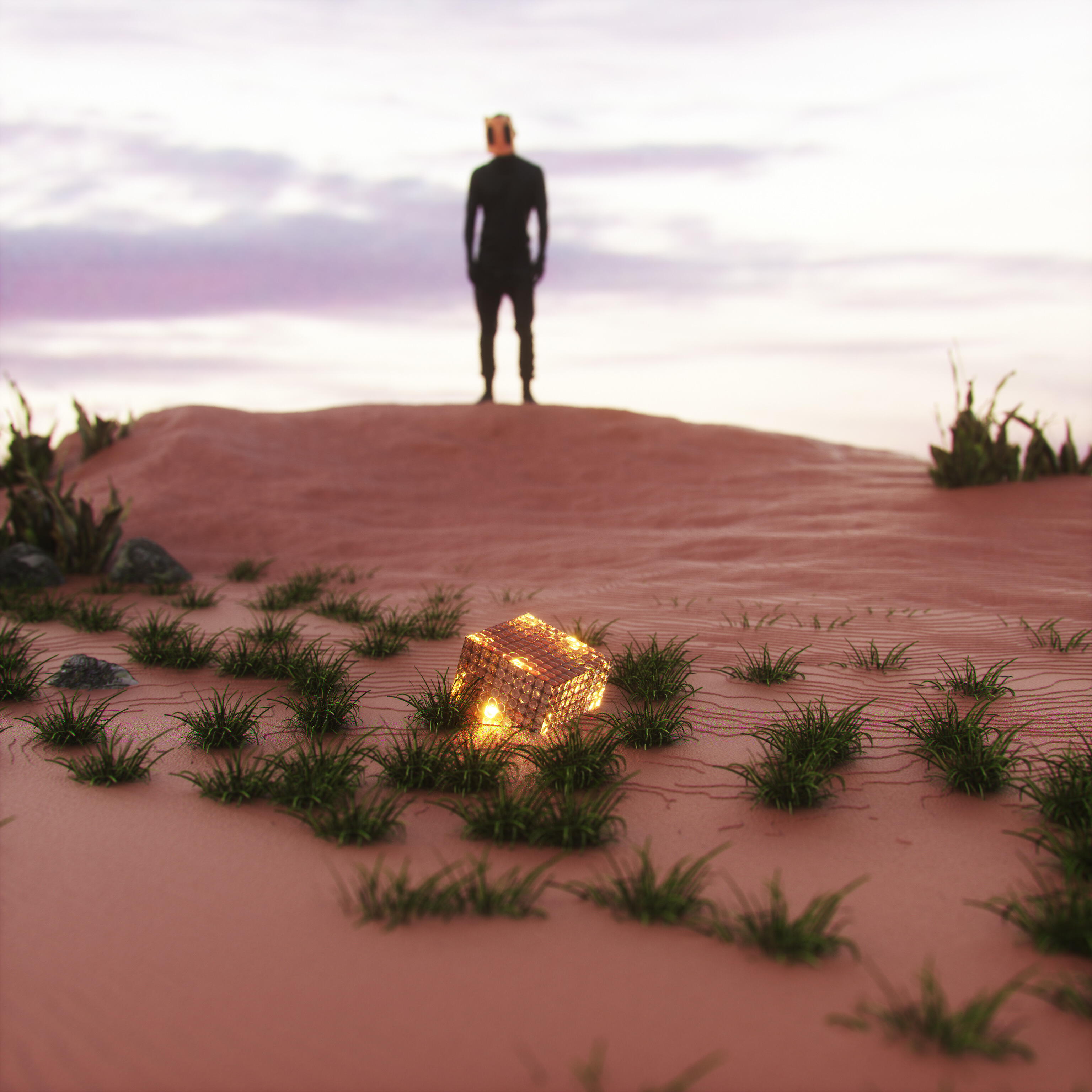 WOODJU - Sod’s Law