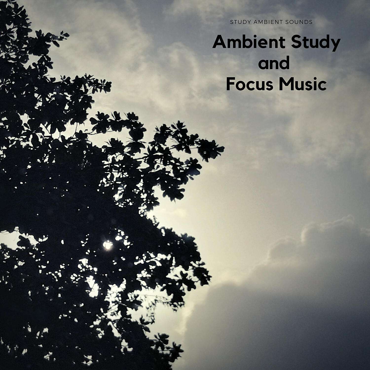 Ambient sounds. Ambient Sounds (0-100).