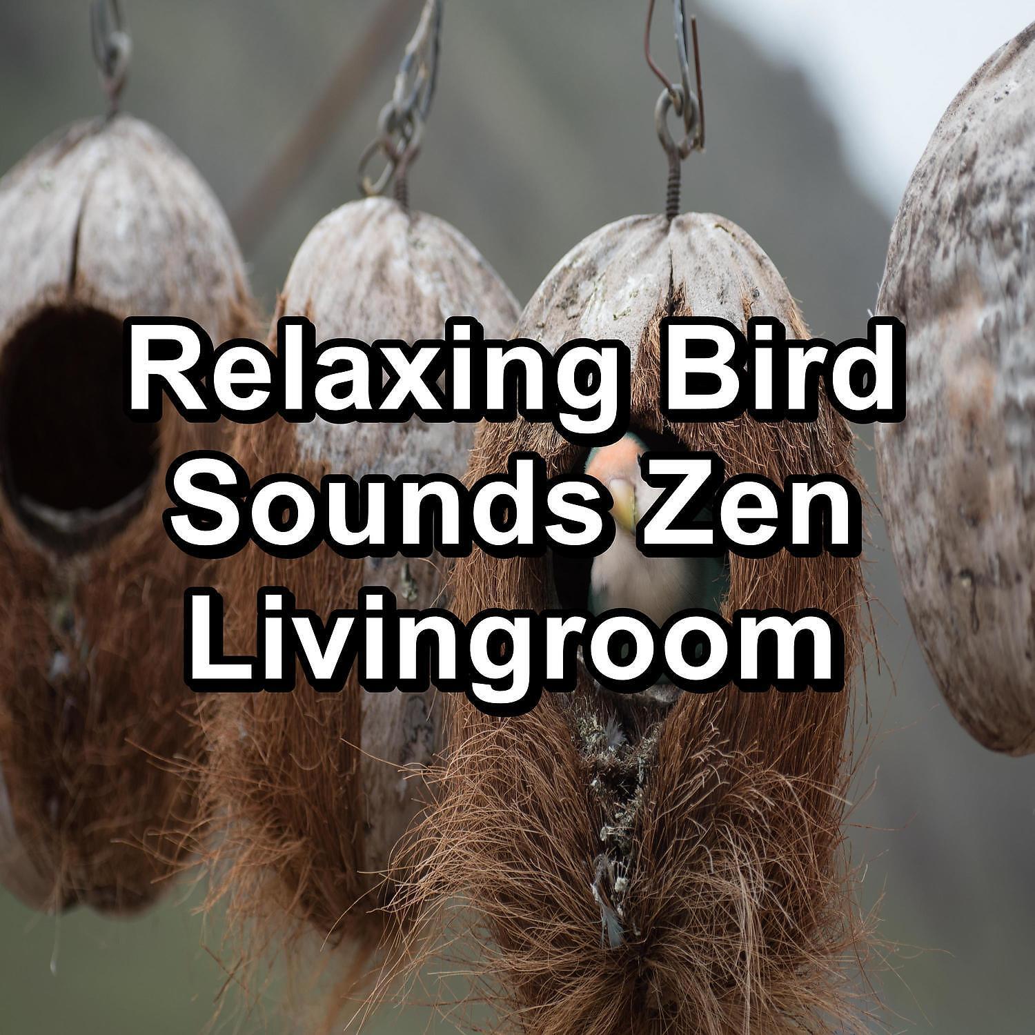 Yoga Club - Rest Bird Sounds For a Bright Day To Loop as Long as you Need