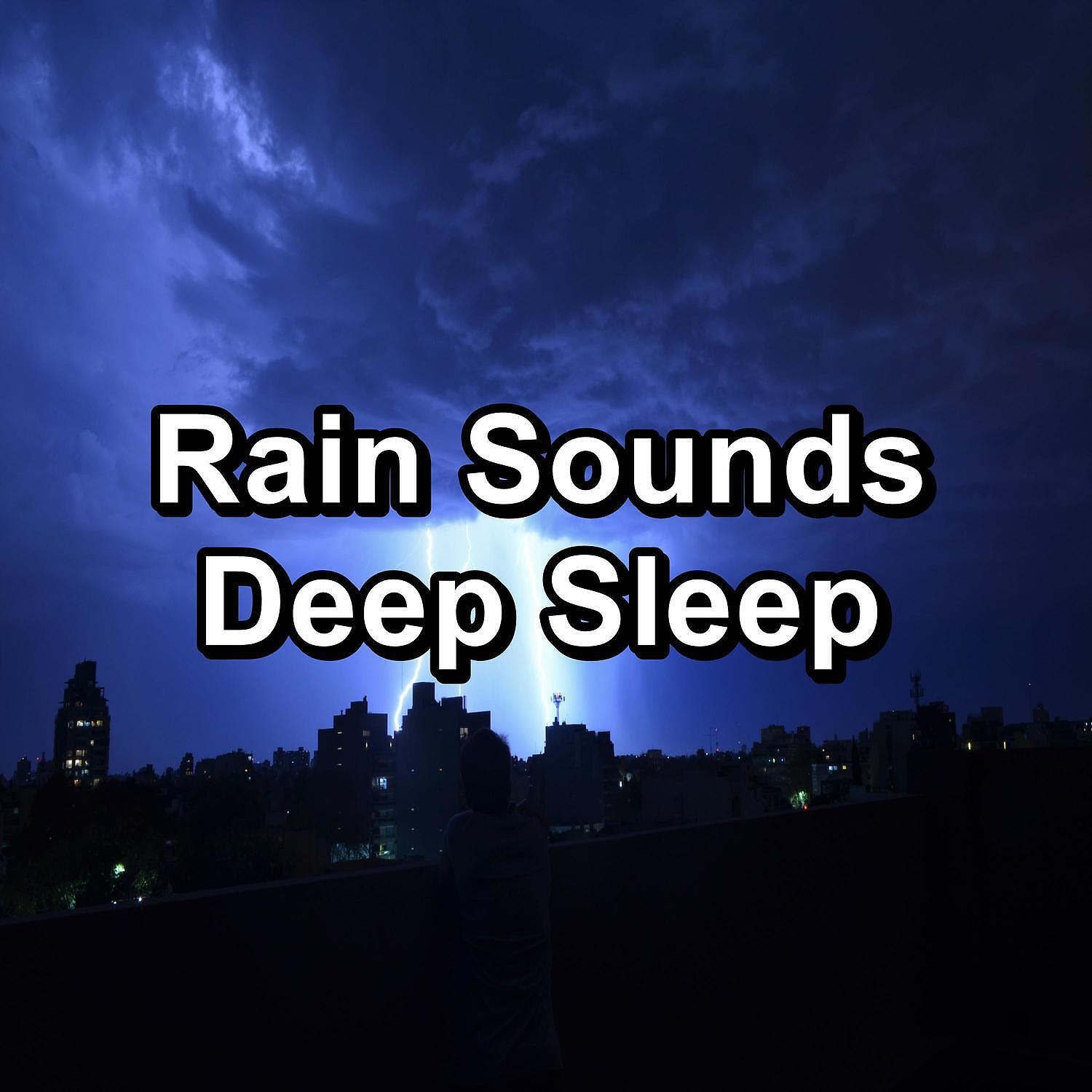 Rest & Relax Nature Sounds Artists - Forest Rain and Nature Sounds in the Night