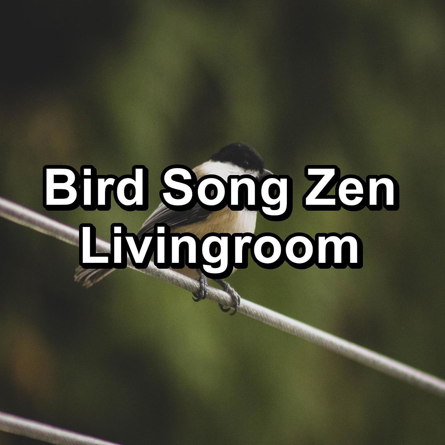 Baby Sleep - Music from Birds For a Cozy Living Room To Loop for 24 Hours