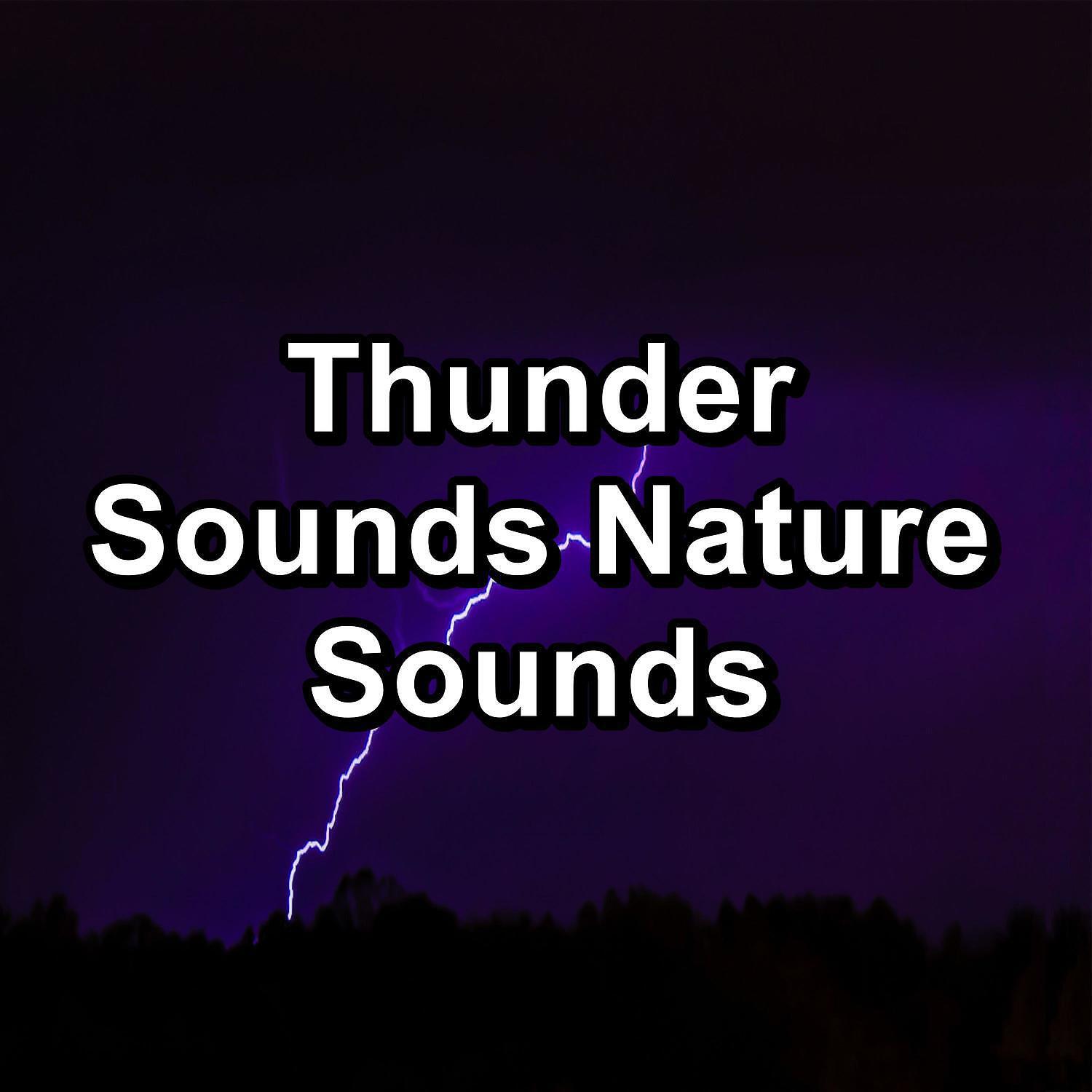 Lightning Thunder and Rain Storm - Warm Wind in Summers with Thunder