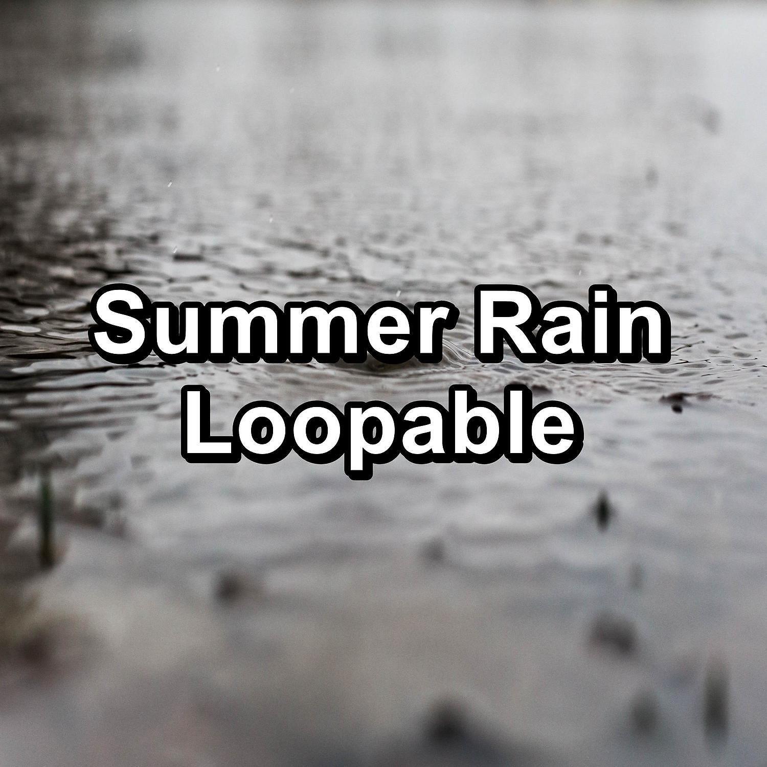 Rain Storm & Thunder Sounds - Cozy Rain To Help with Insomnia in the Night