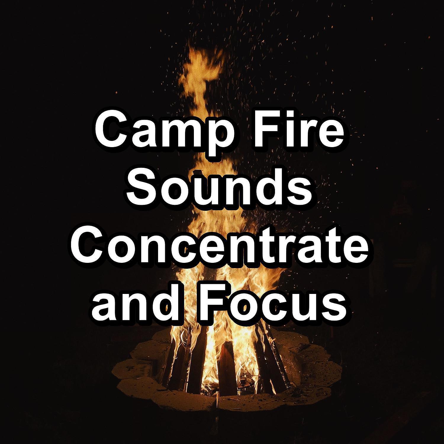 Fireplace FX Studio - The Campfire Peaceful Ambience To Loop for 24 Hours