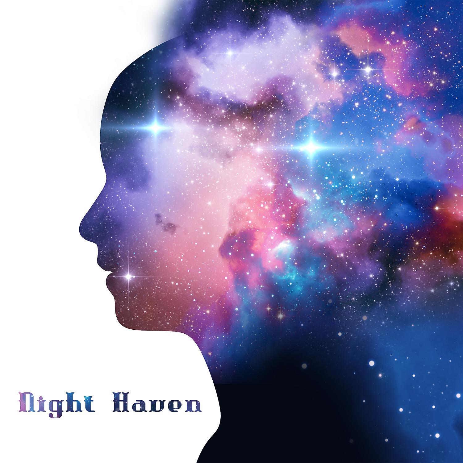 Постер альбома Night Haven: Calm Down Your Senses, Mind and Body