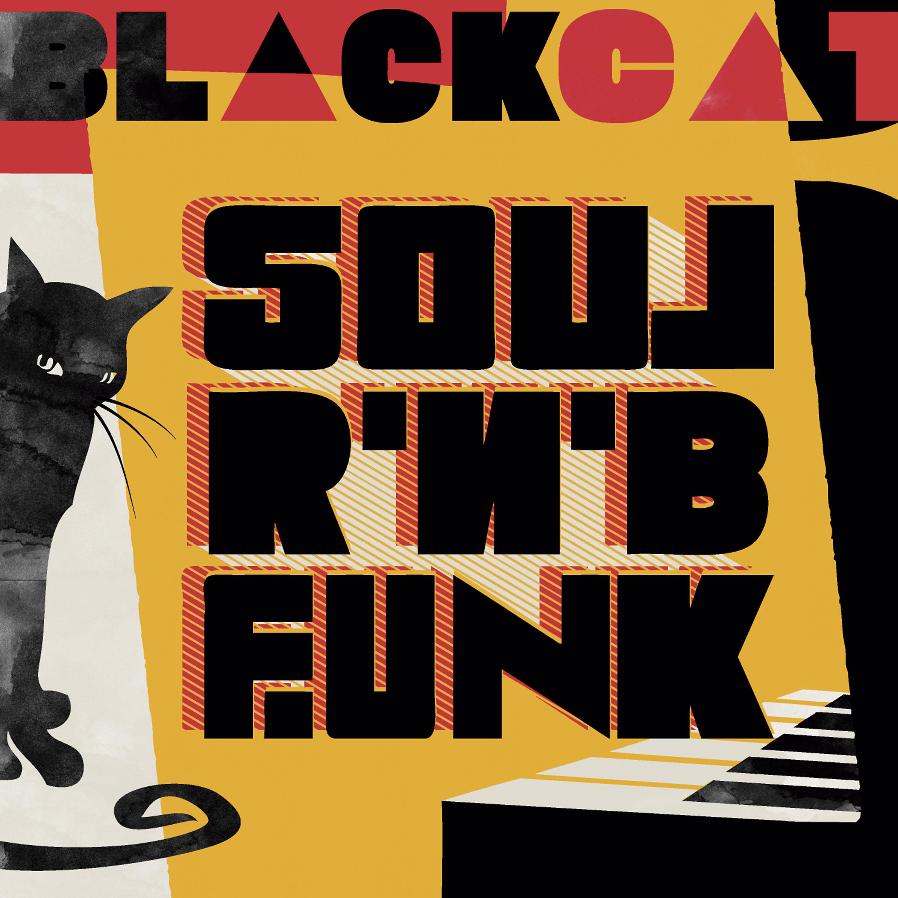 Постер альбома Black Cat: Soul R'n'b Funk