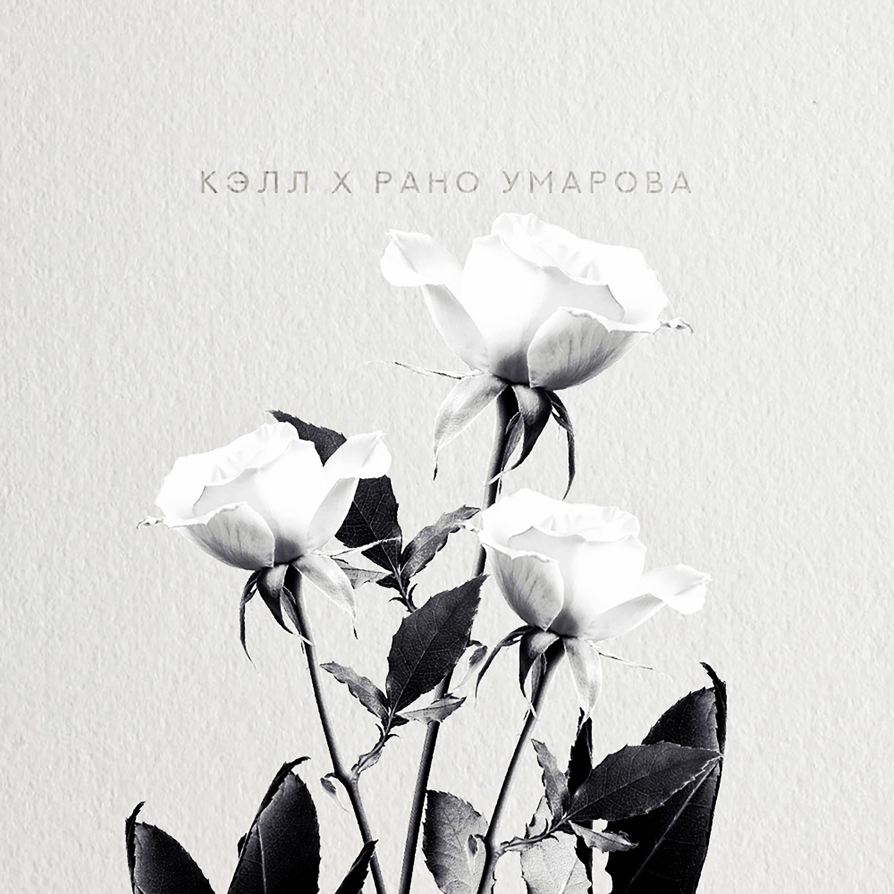 Постер альбома Белые розы