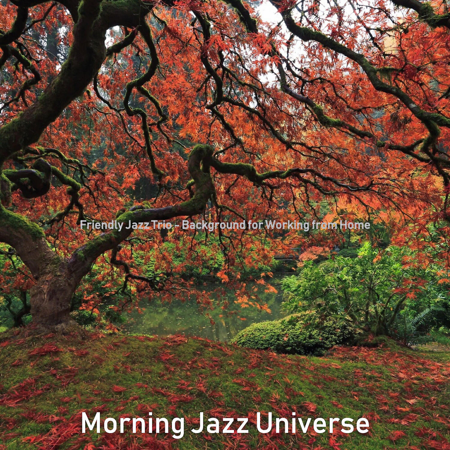Morning Jazz Universe - Stellar Jazz Guitar Trio - Vibe for Working from Home