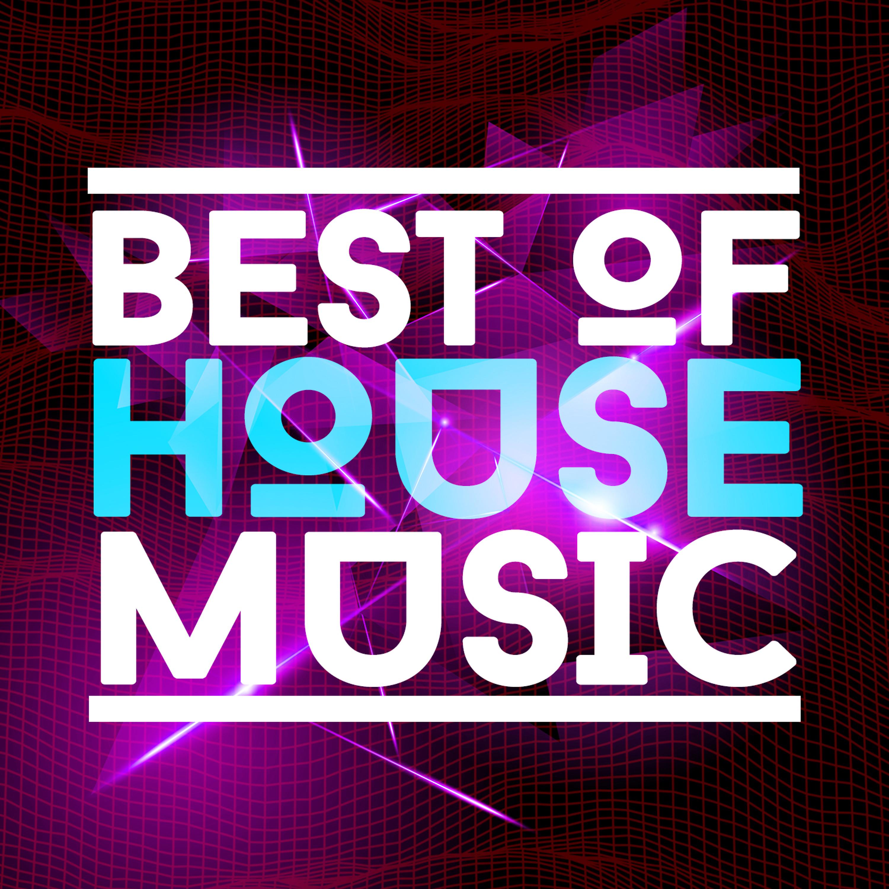 Постер альбома Best of House Music