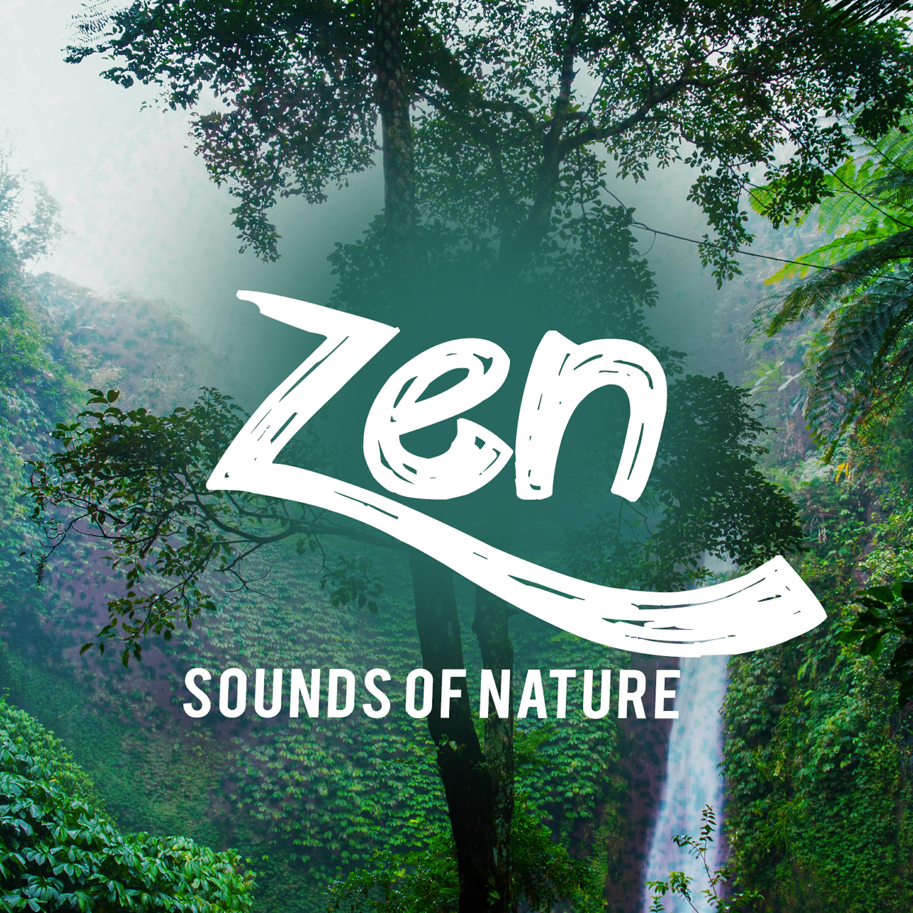 Sounds of Nature! - Life at the Start of the Stream