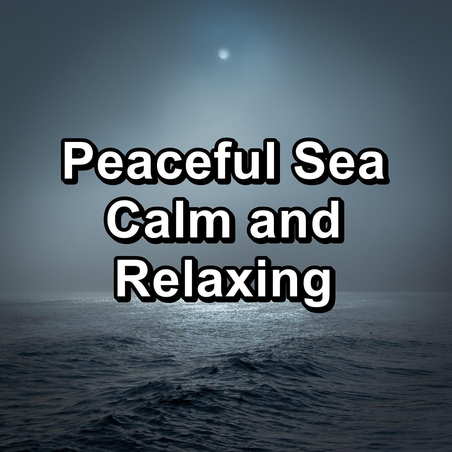 Chakra Healing Music Academy - Sleepy Sea Sounds Keep Calm with Nature Sounds New Age Music