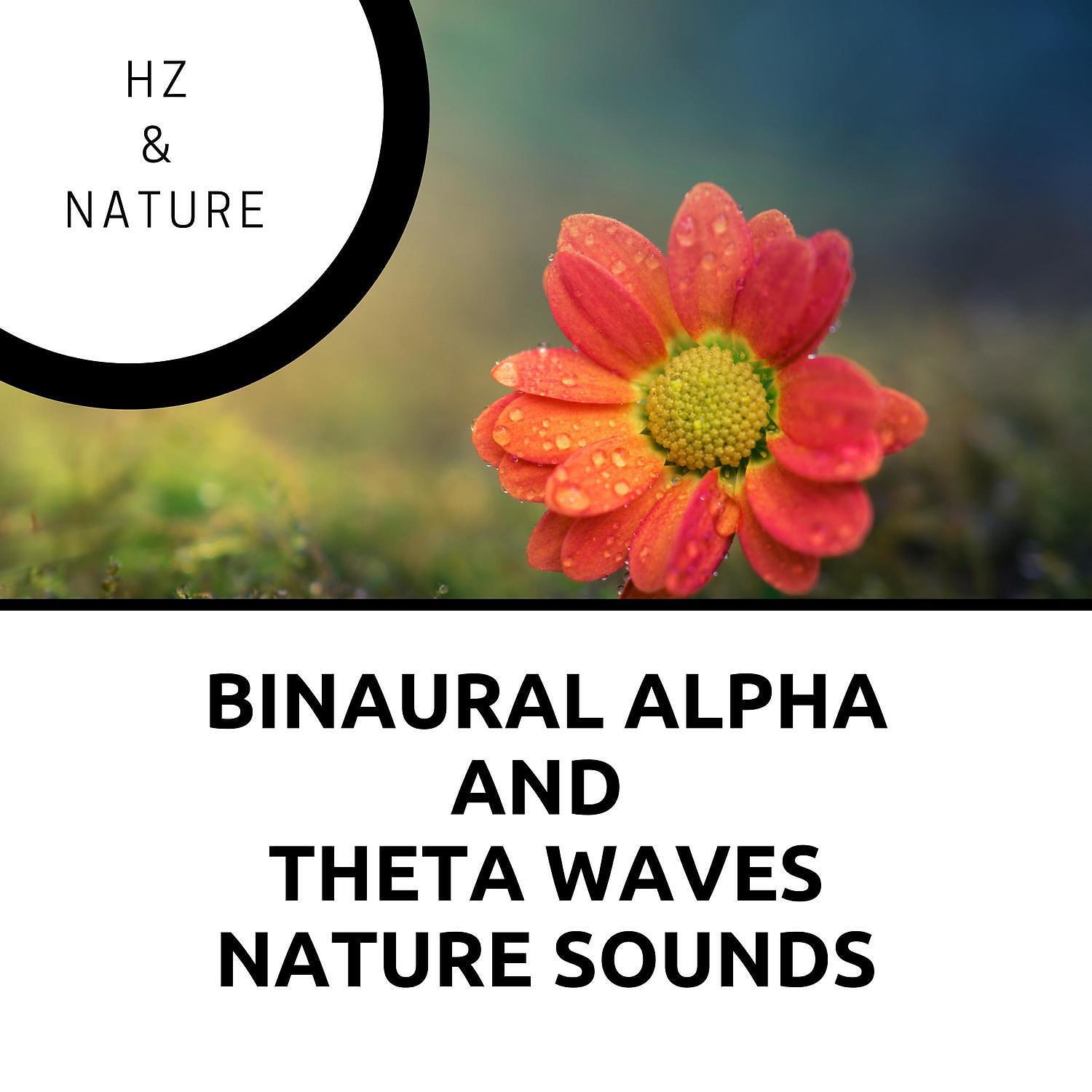 Hz & Nature - 4Hz Theta Waves with Ambient Music, Water Sounds, White Noise