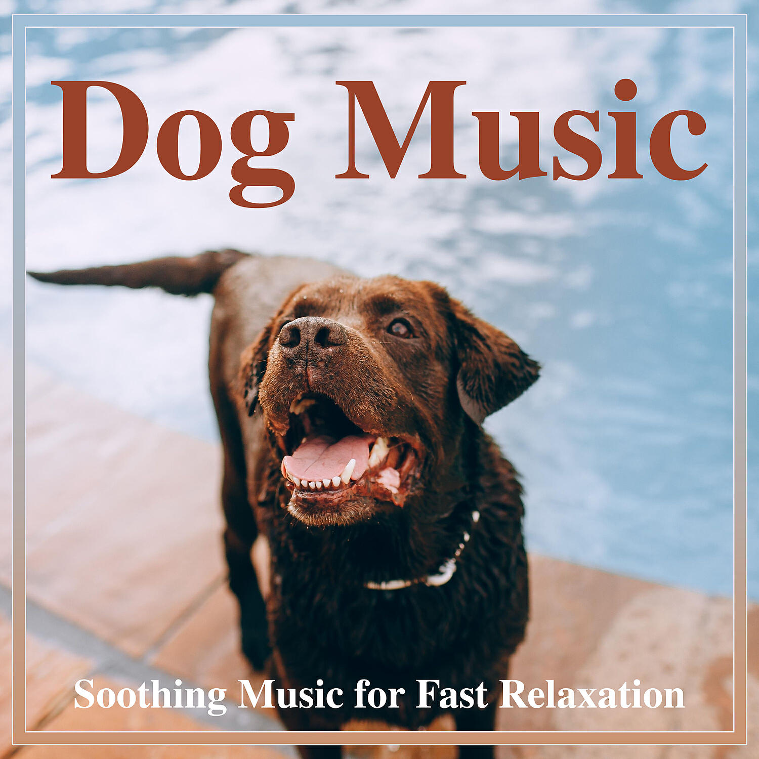 Dog Music Dreams - Mountain Breeze