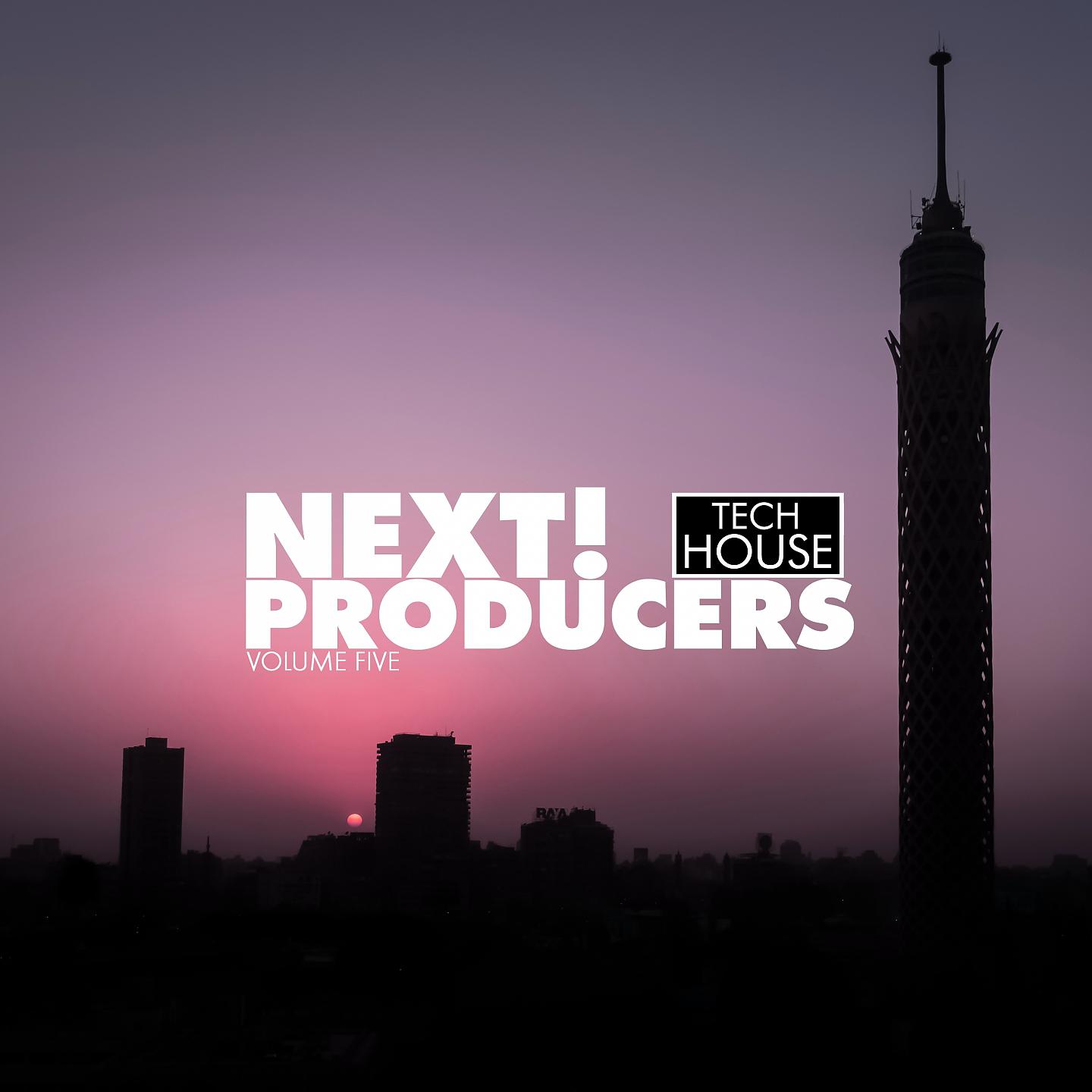 Постер альбома Next! Producers Vol. 5 - Tech House