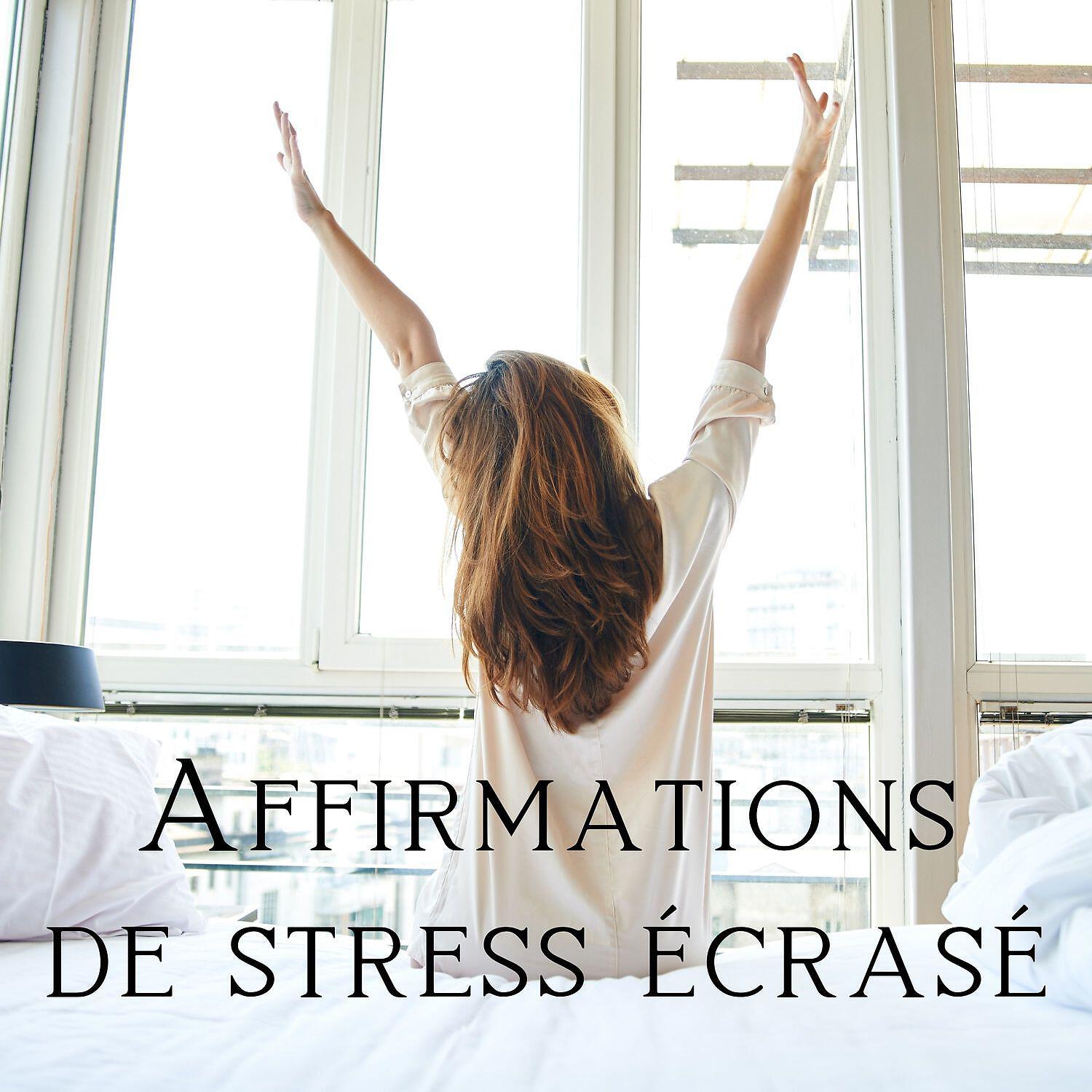 Ensemble de Musique Zen Relaxante - Connectez-vous au zen intérieur