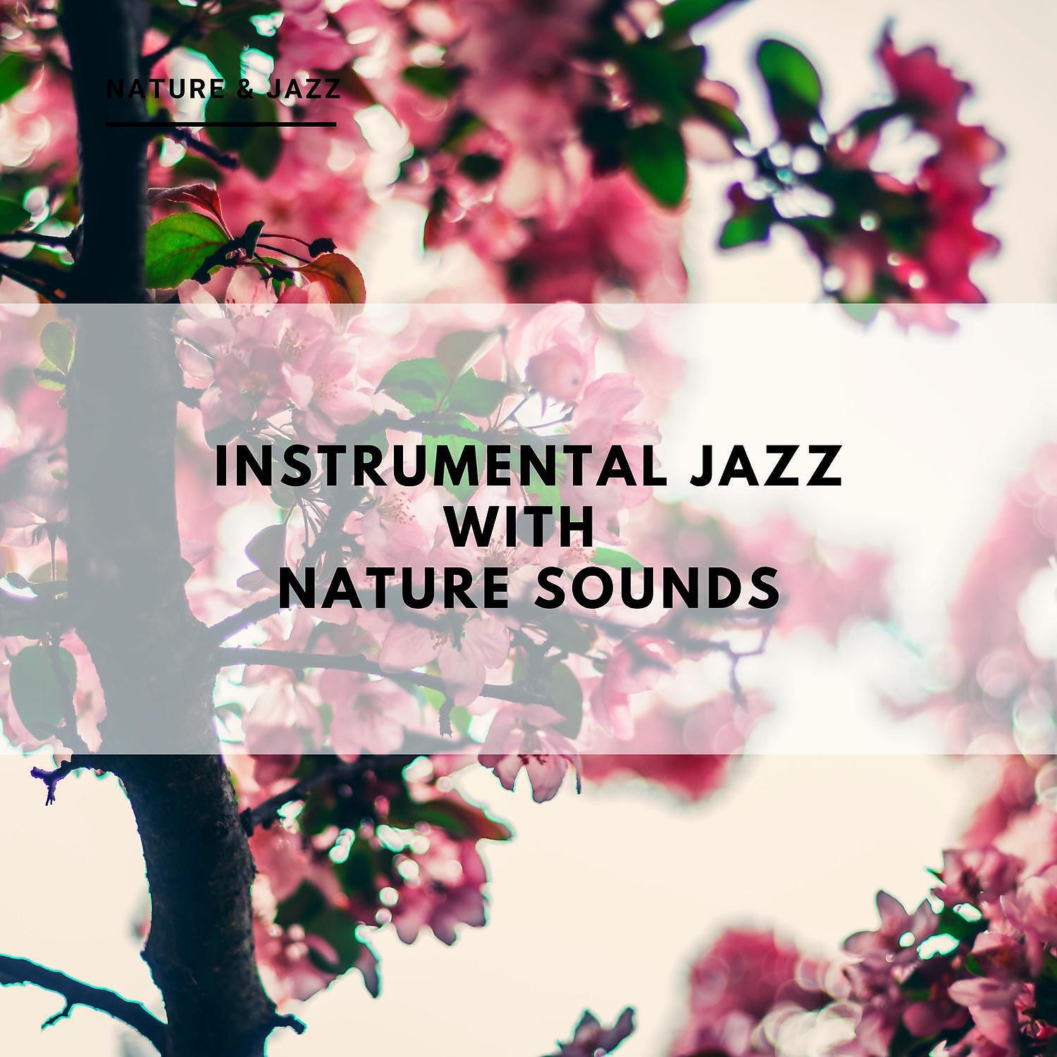 Nature & Jazz - Tantra Massage