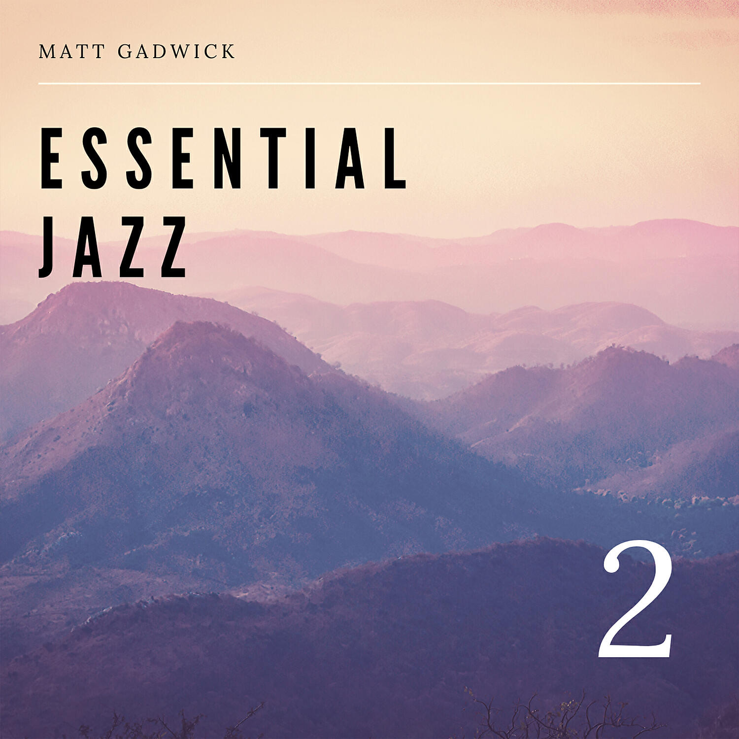 Matt Gadwick - Our Love Is Here To Stay O My Funny Valentine