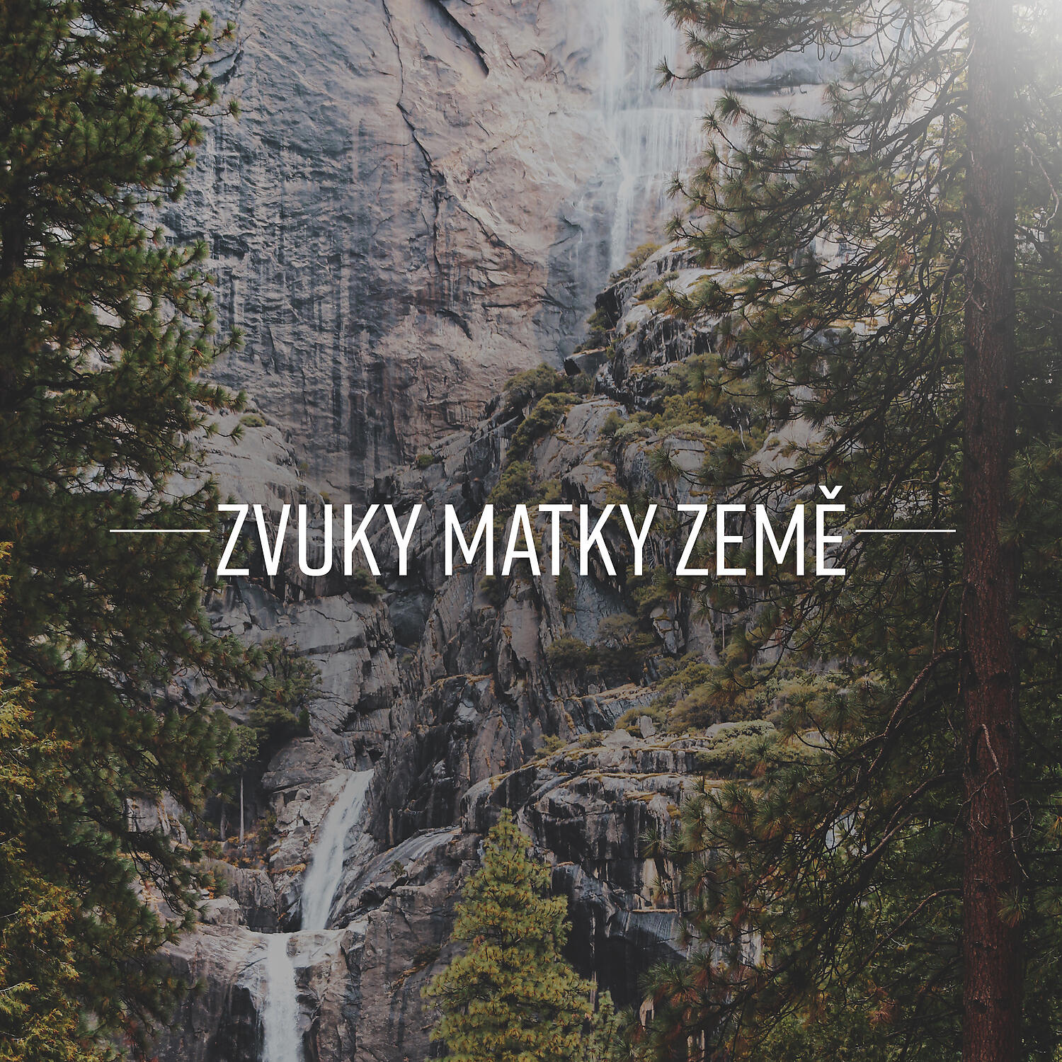 Relaxační Zvuky - Zavřete Oči a Poslouchejte Ptáky