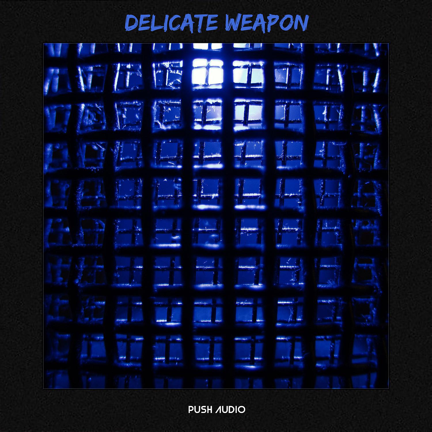 Постер альбома Delicate Weapon