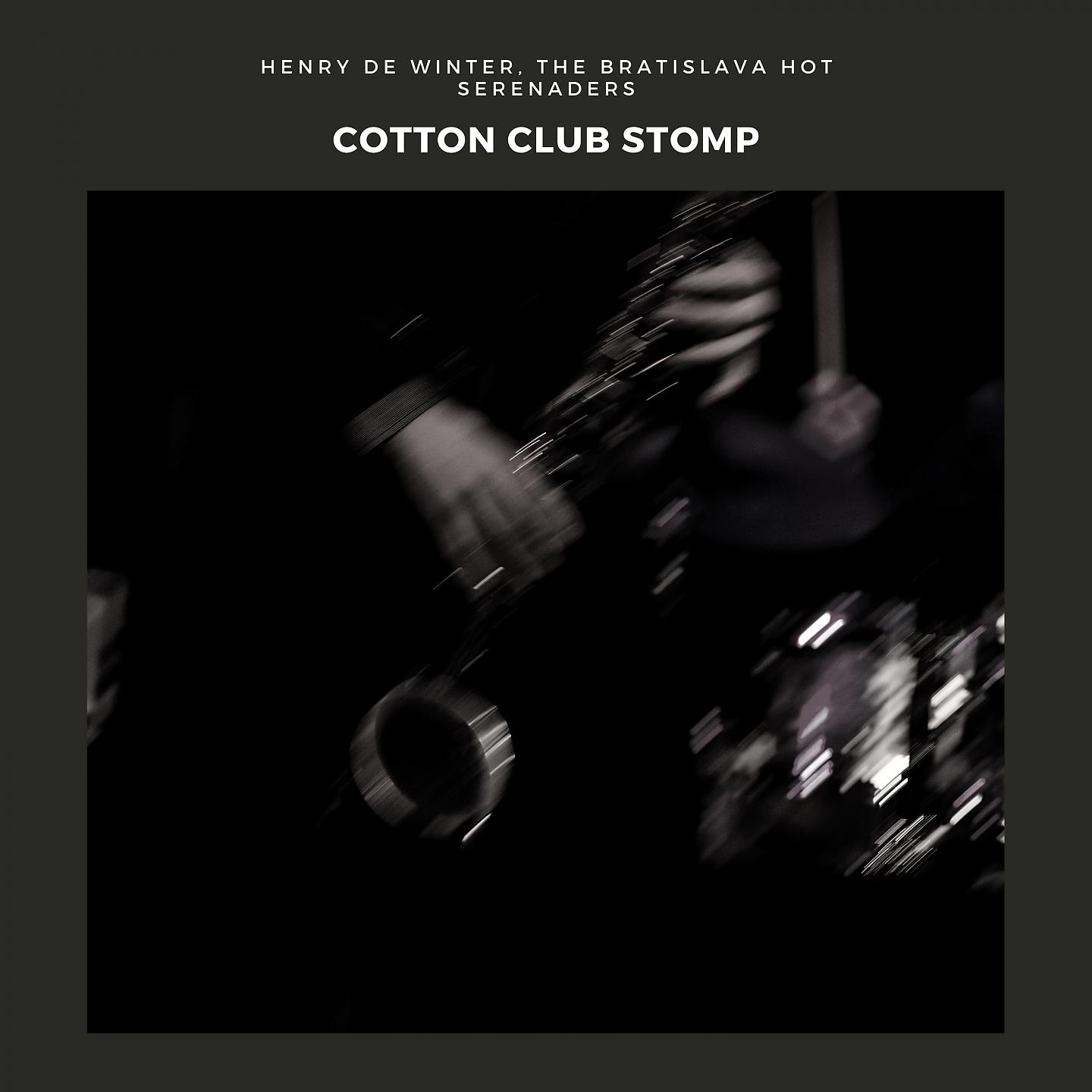 Постер альбома Cotton Club Stomp