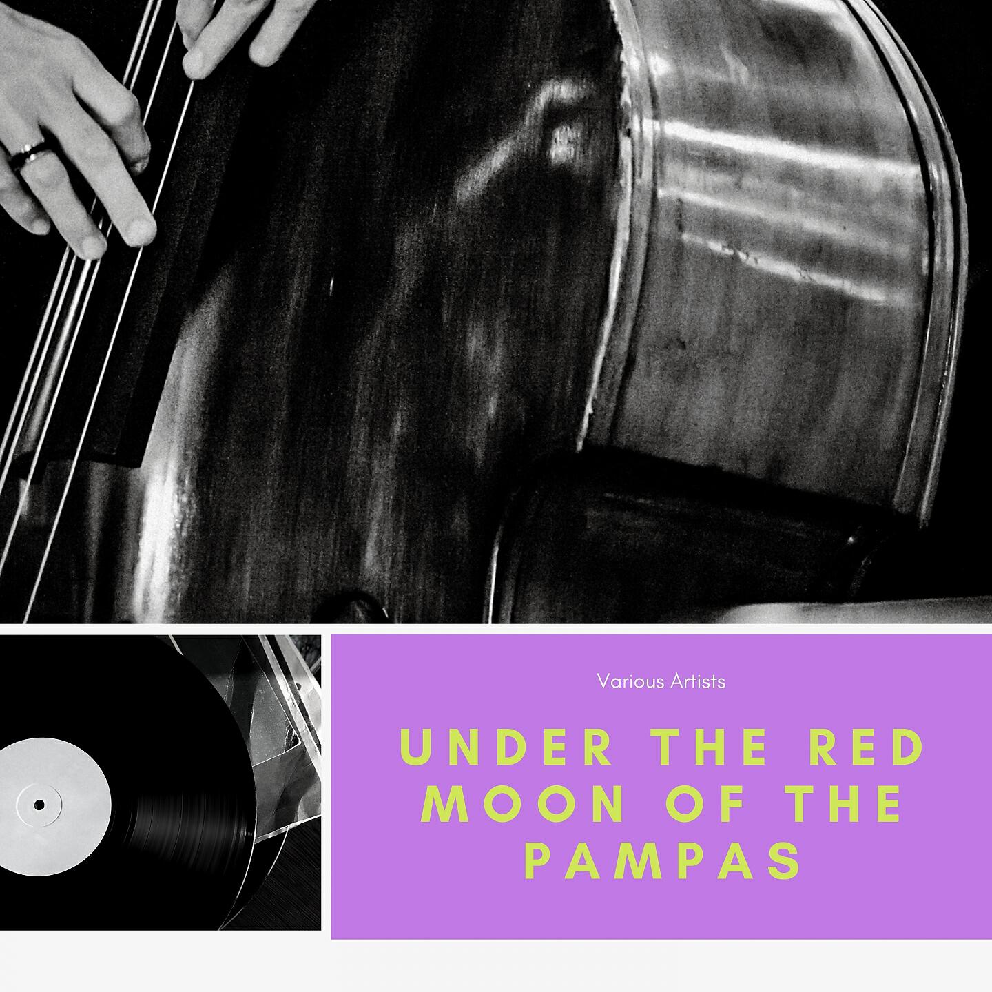 Tanzorchester Heinz Wehner - Under the Red Moon of the Pampas