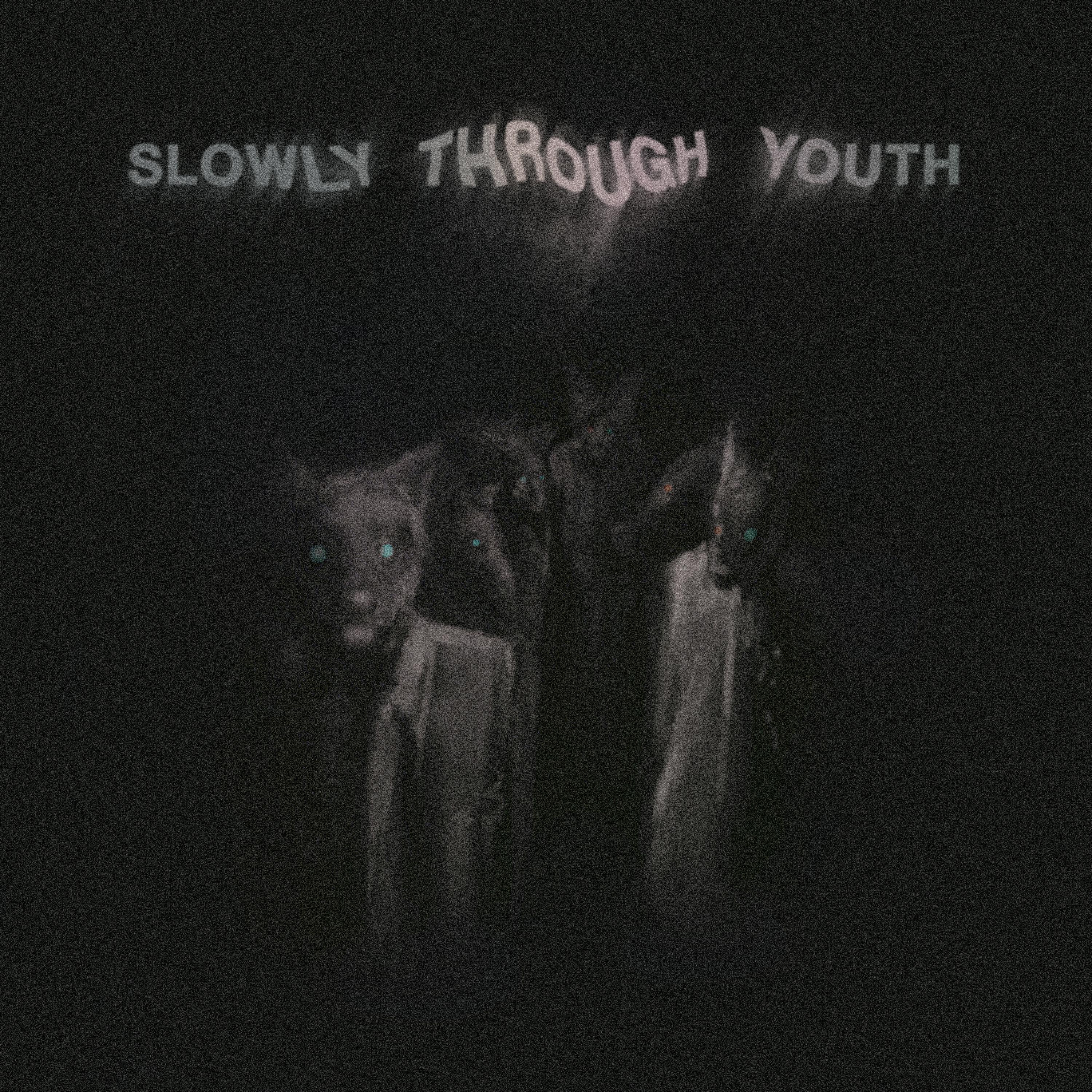 Постер альбома Slowly Through Youth