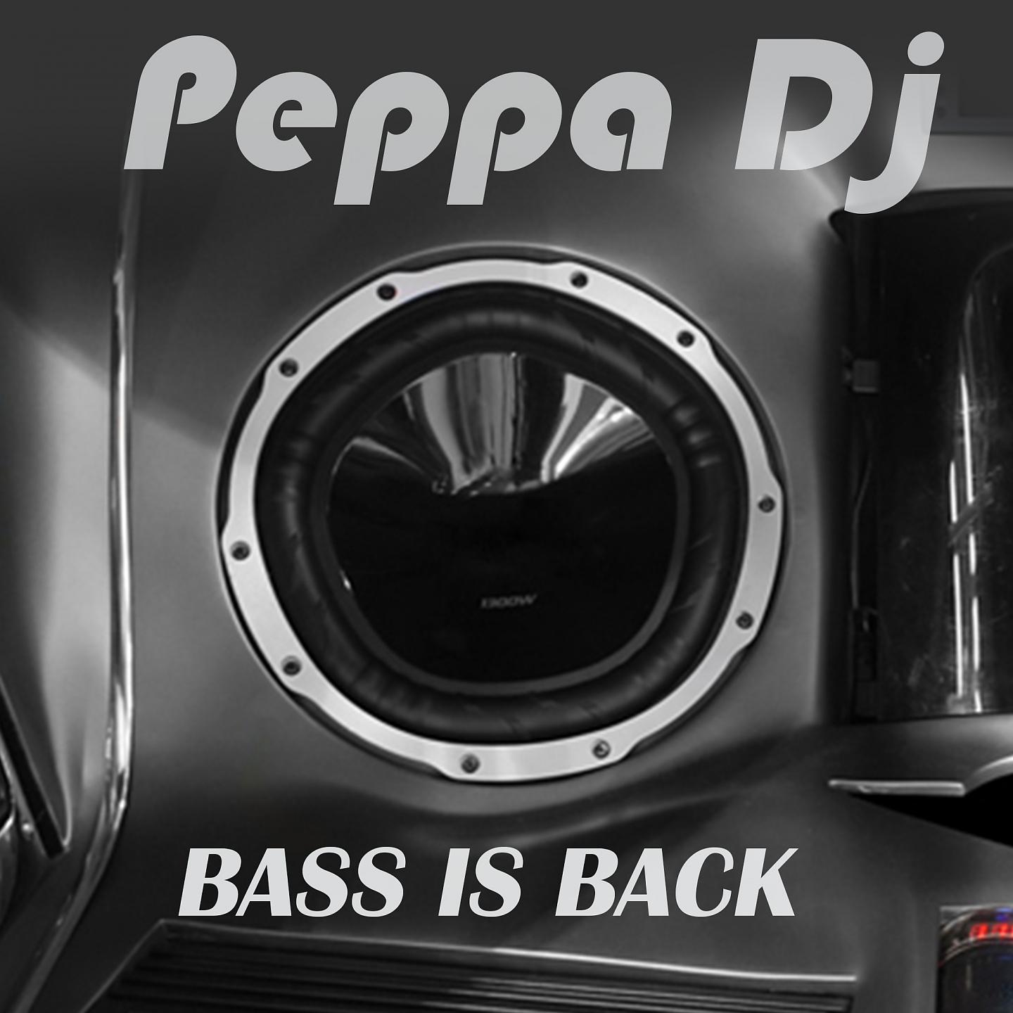 Постер альбома Bass Is Back