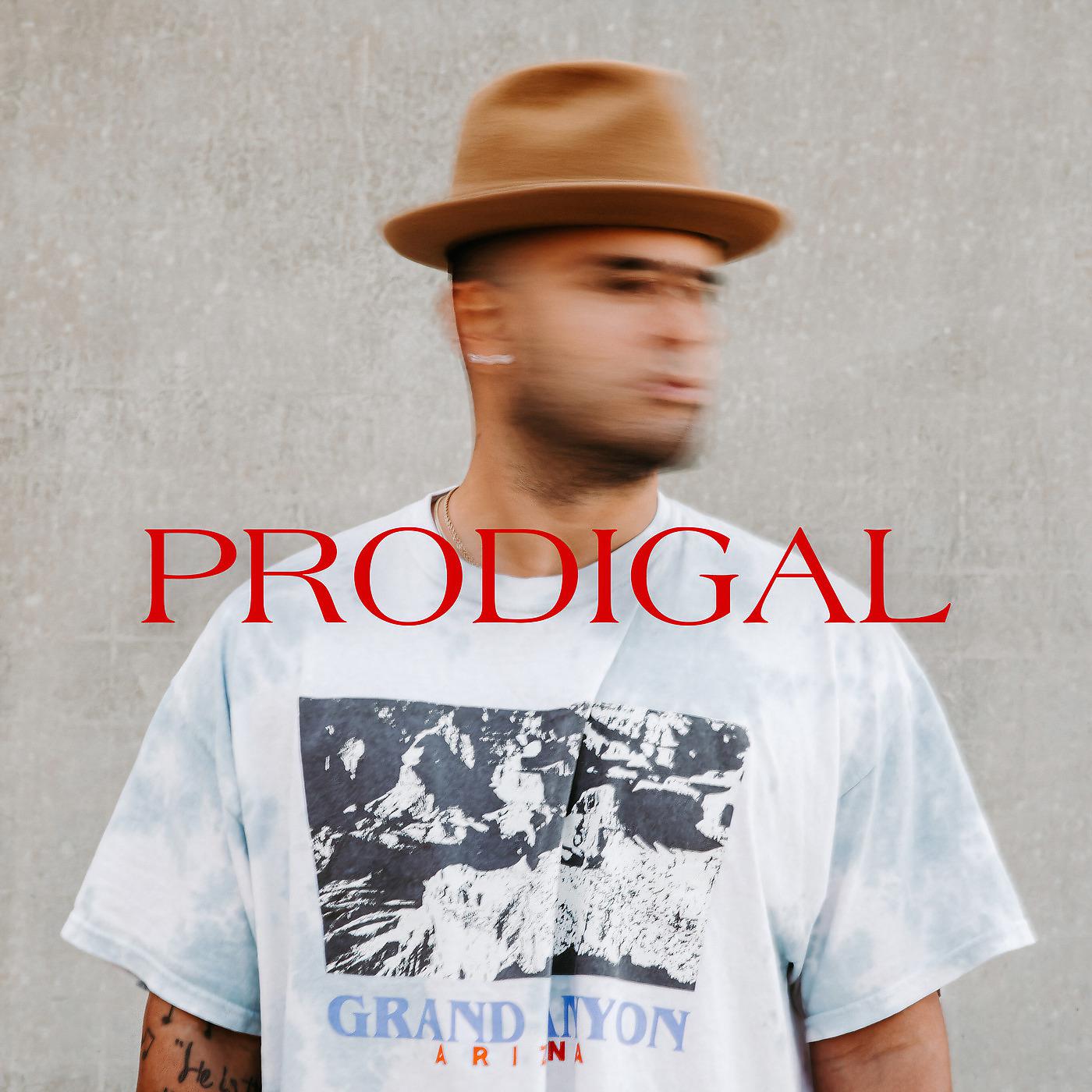 Постер альбома Prodigal
