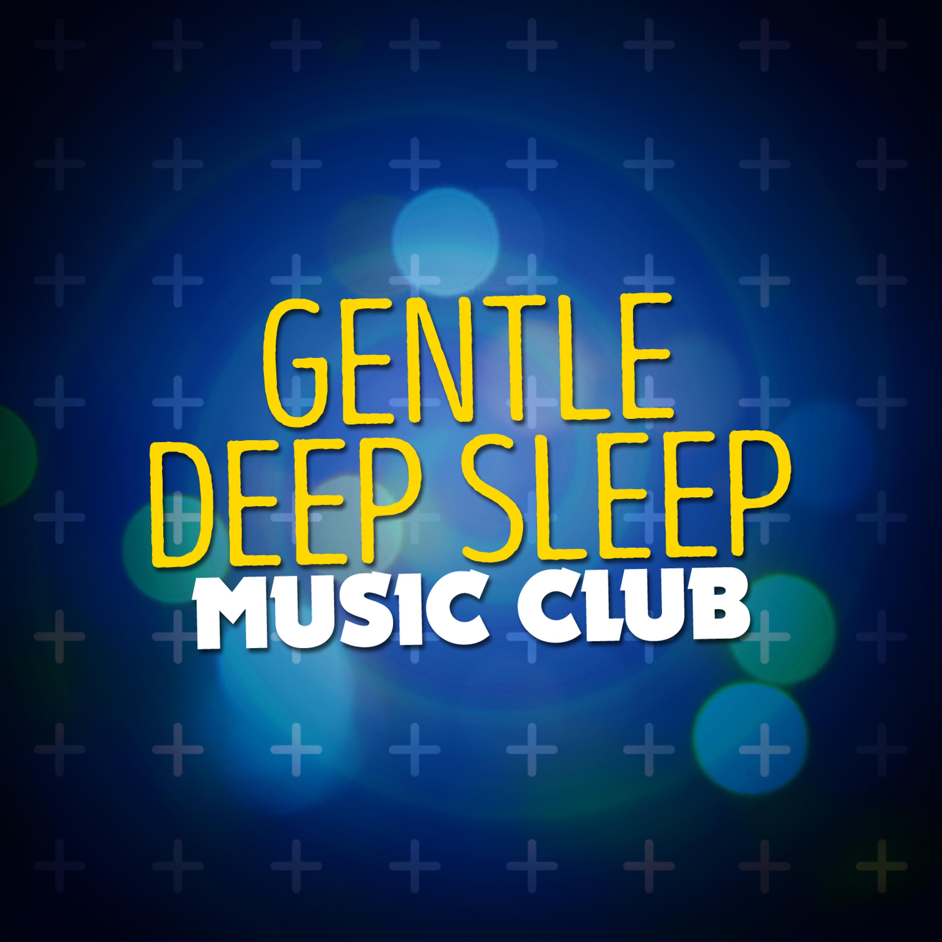 Постер альбома Gentle Deep Sleep Music Club