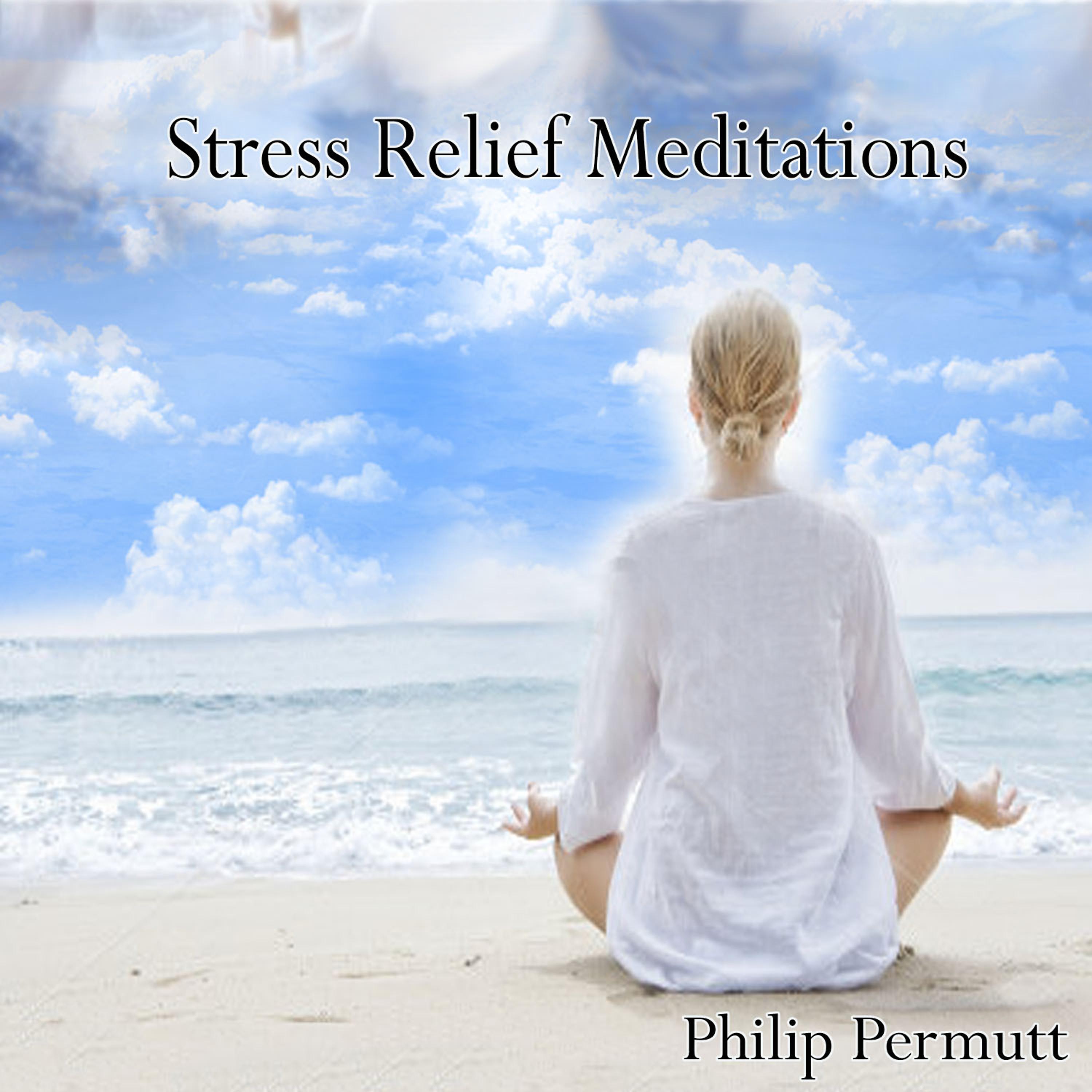 Постер альбома Stress Relief Meditations