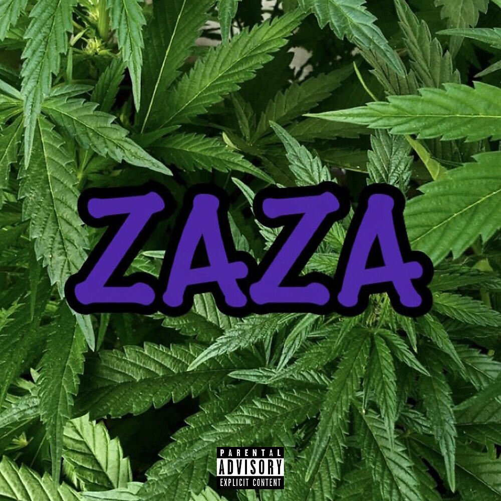 44 Purrp - ZAZA