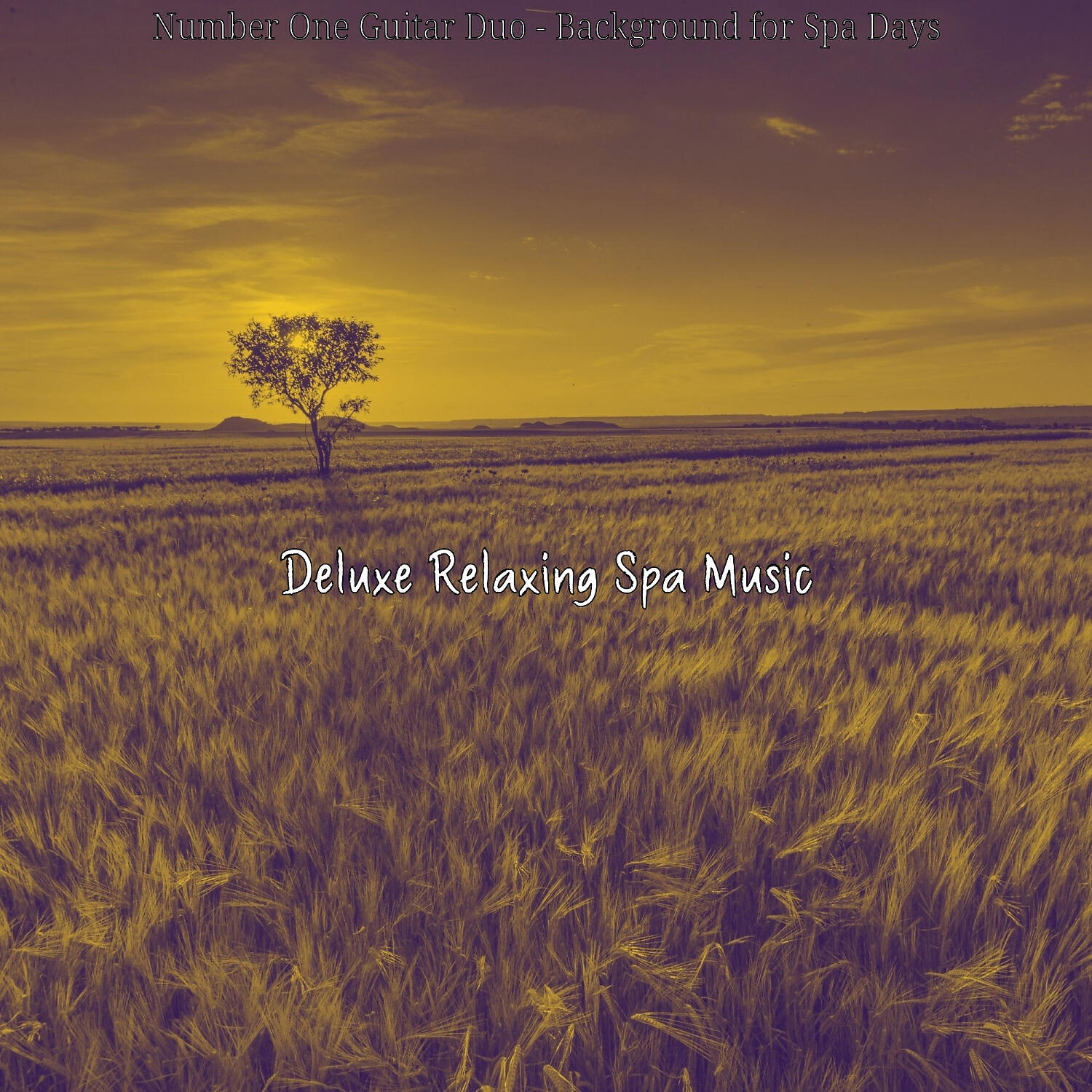 Deluxe Relaxing Spa Music - Spacious Ambience for Spa Treatments