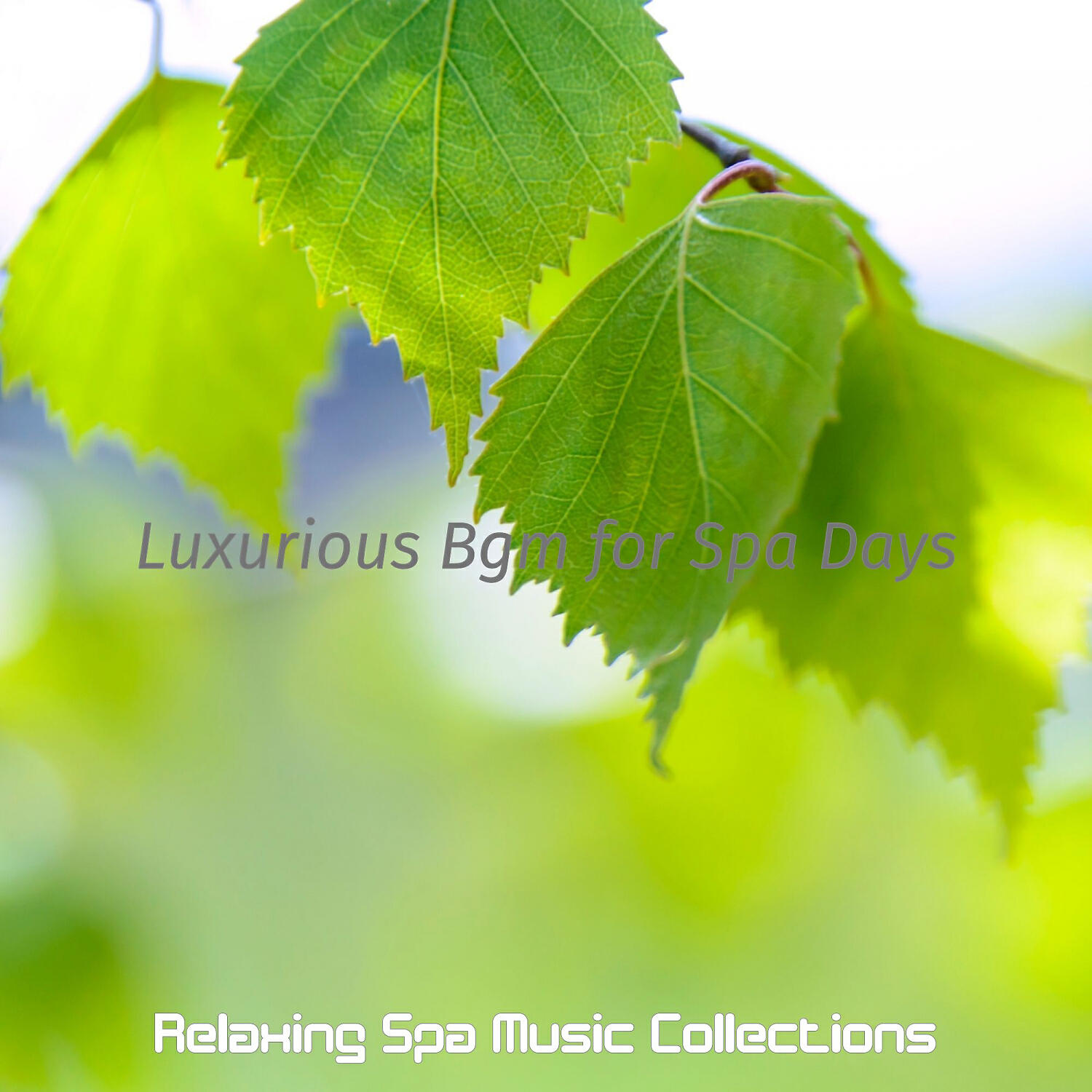 Relaxing Spa Music Collections - Magical Moods for Spa Treatments