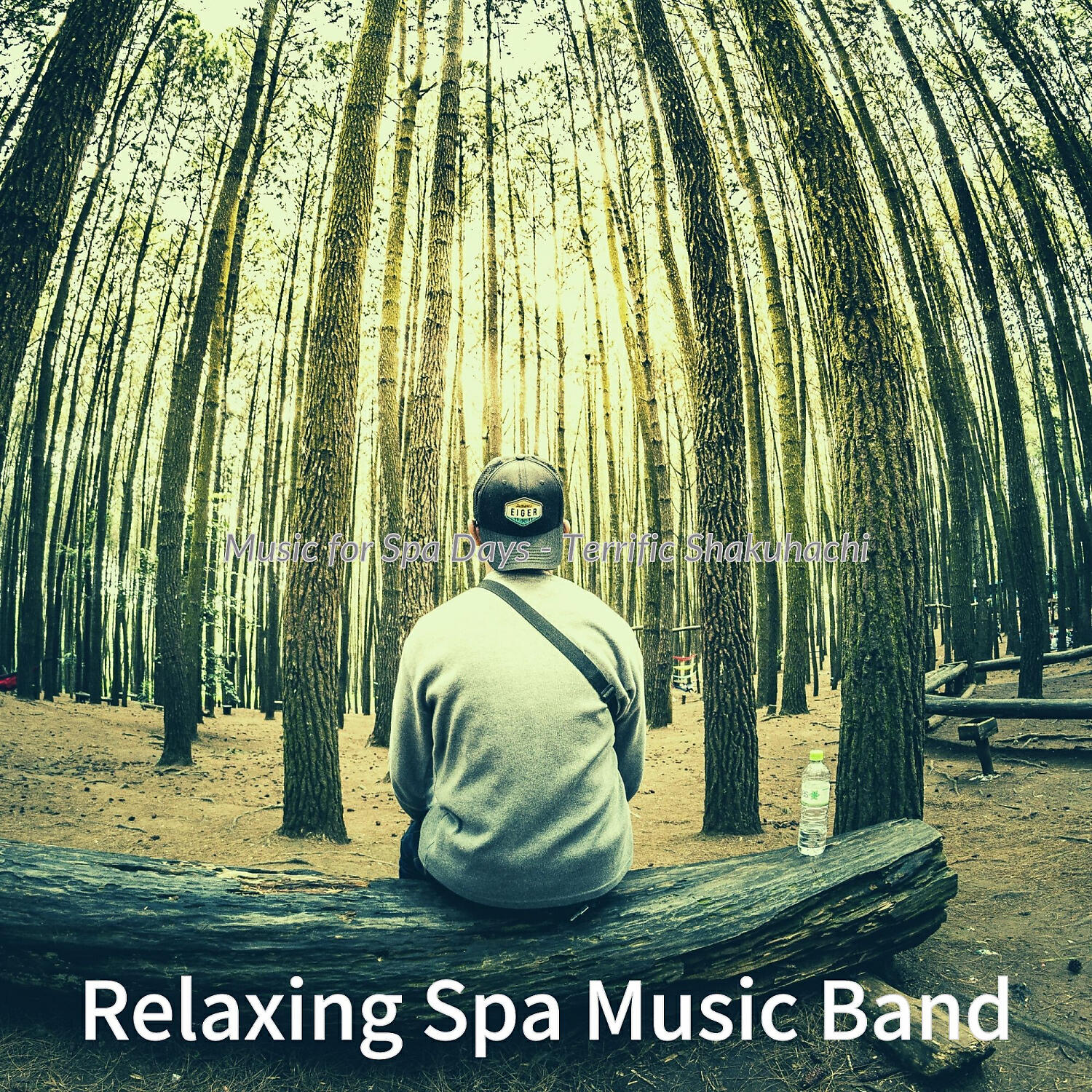 Relaxing Spa Music Band - Terrific Music for Spa Treatments