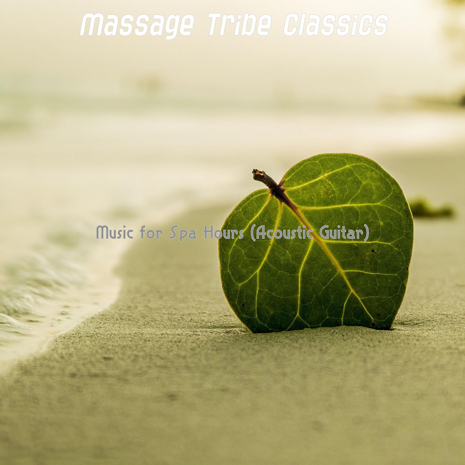 Massage Tribe Classics - Unique Music for Deep Tissue Massage