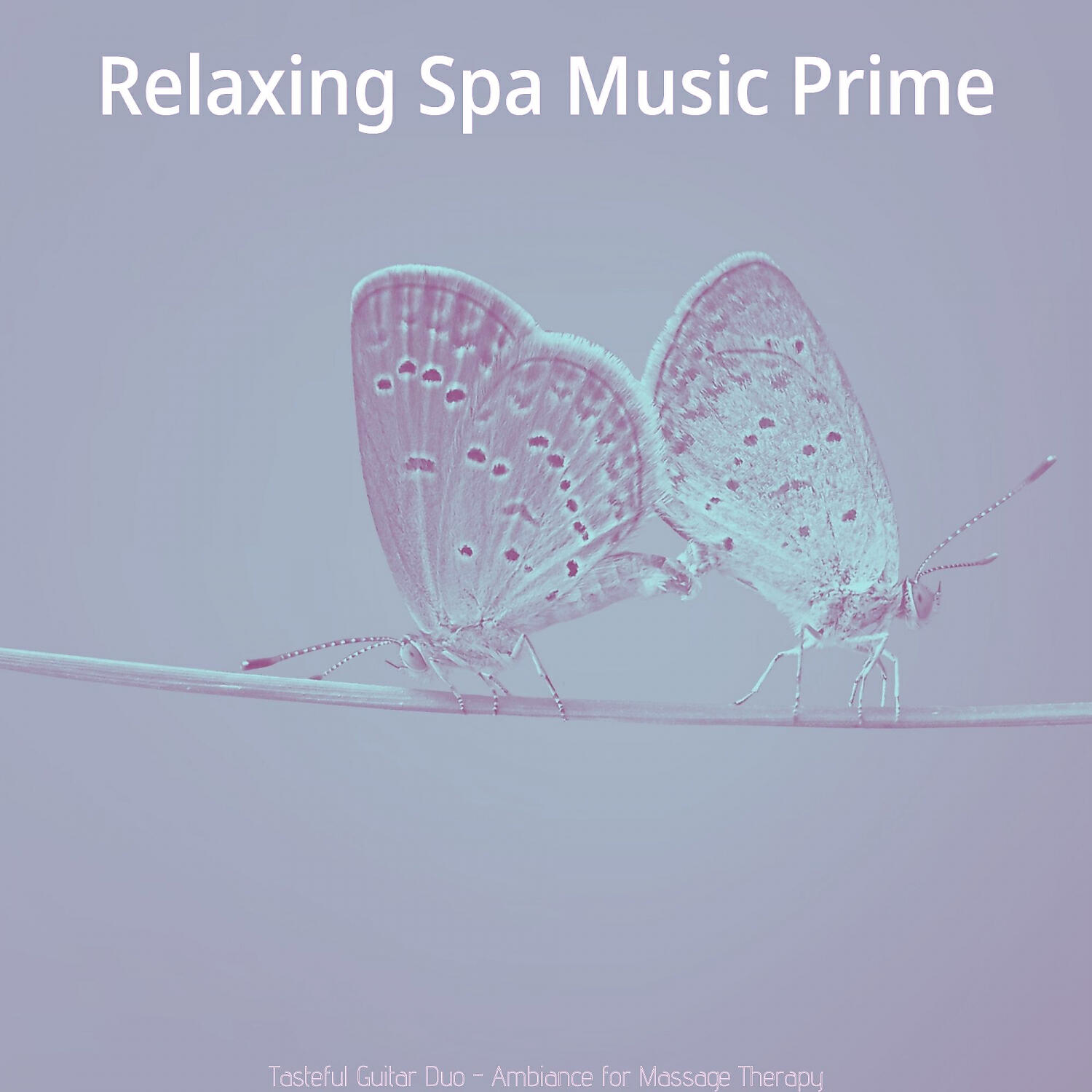 Relaxing Spa Music Prime - Shakuhachi and Guitar Soundtrack for Massage Therapy