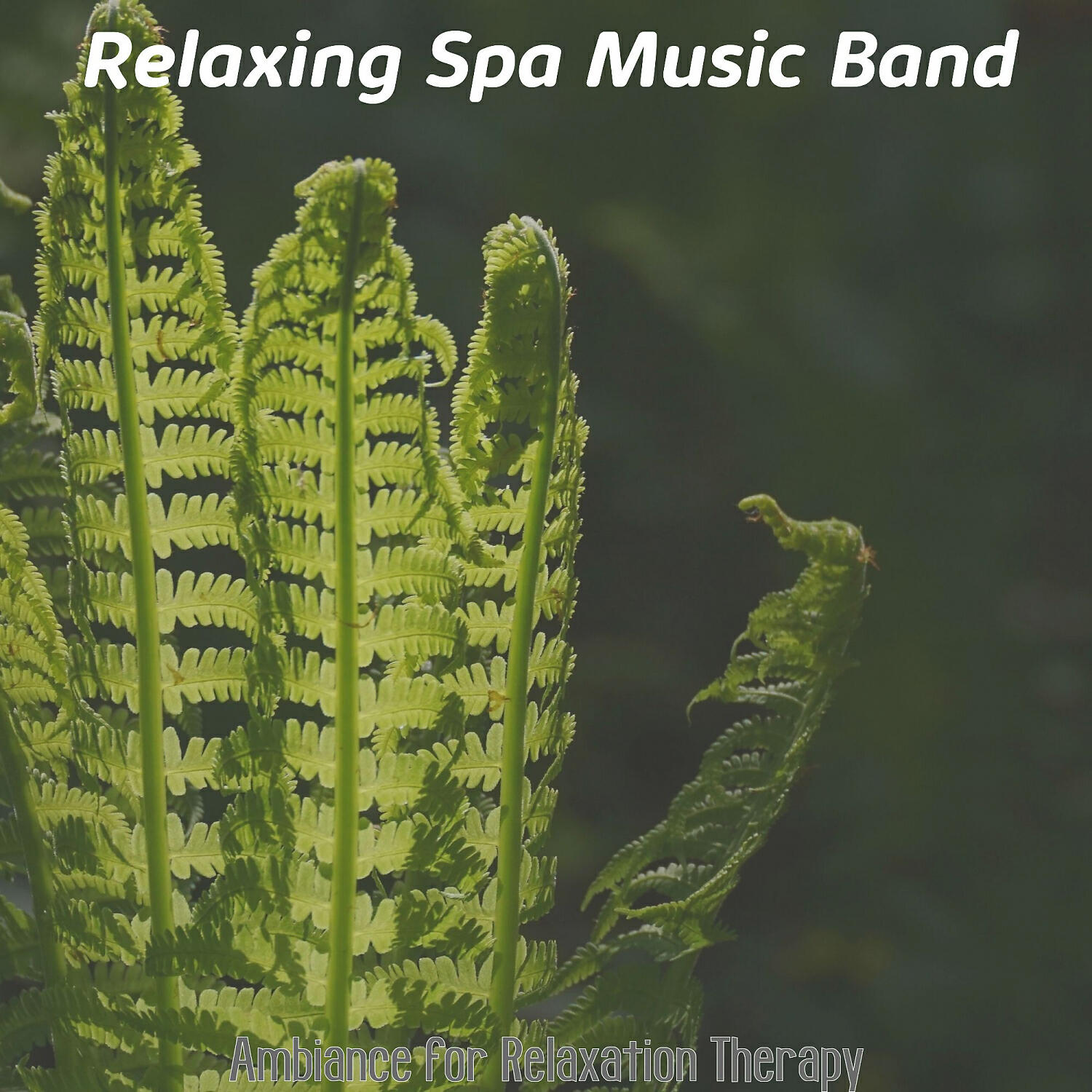 Relaxing Spa Music Band - Remarkable Music for Spa Treatments