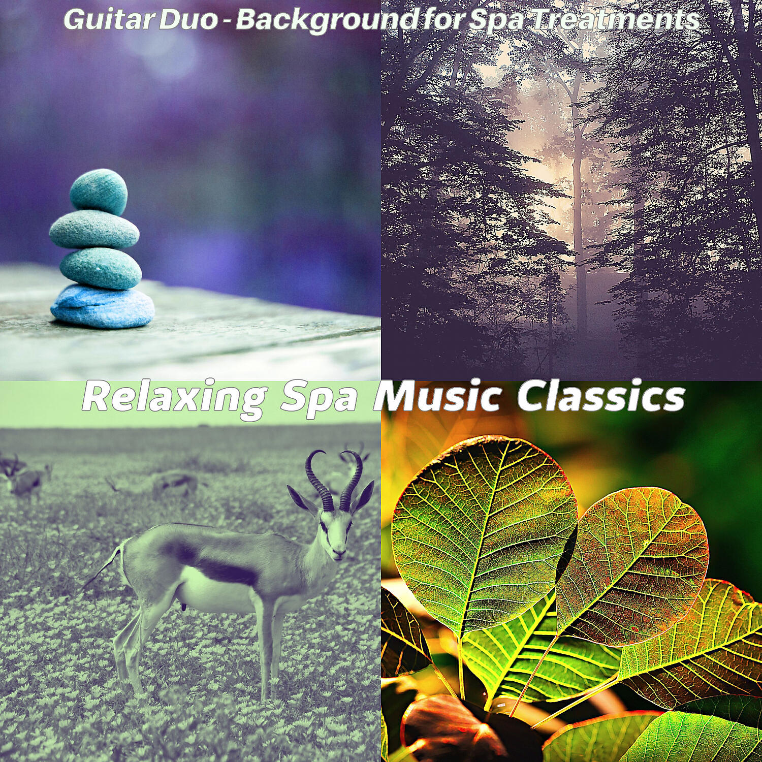 Relaxing Spa Music Classics - Easy Moods for Rejuvenating Massages