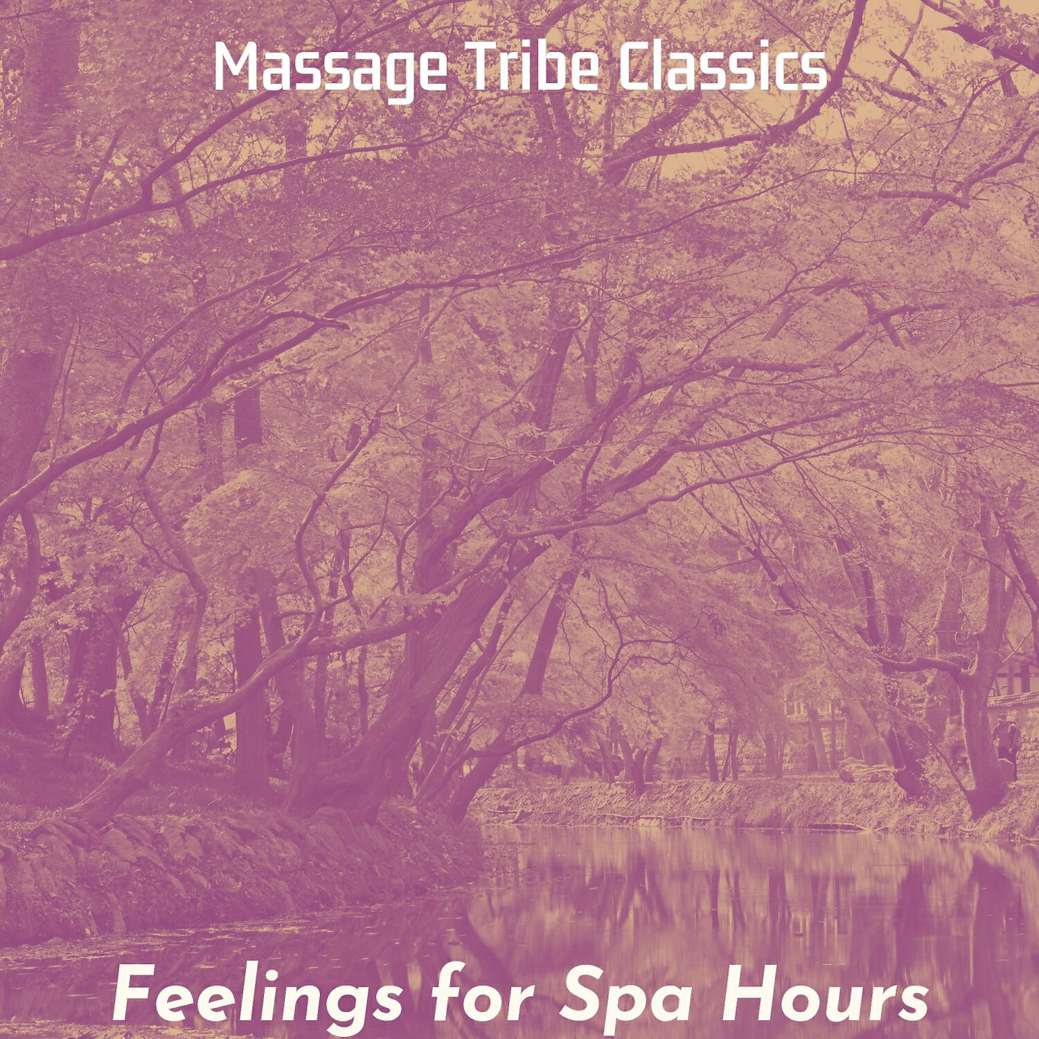 Massage Tribe Classics - Inspiring Moods for Facial Treatments