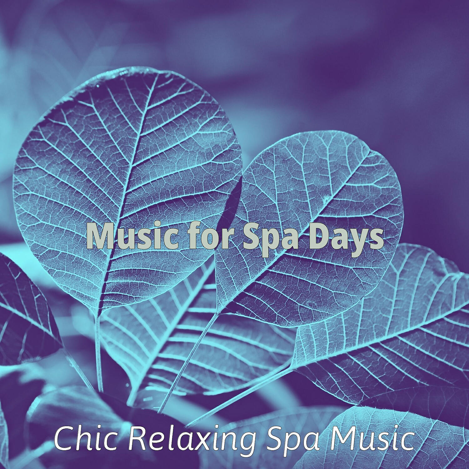 Chic Relaxing Spa Music - High Class Backdrops for Spa Treatments