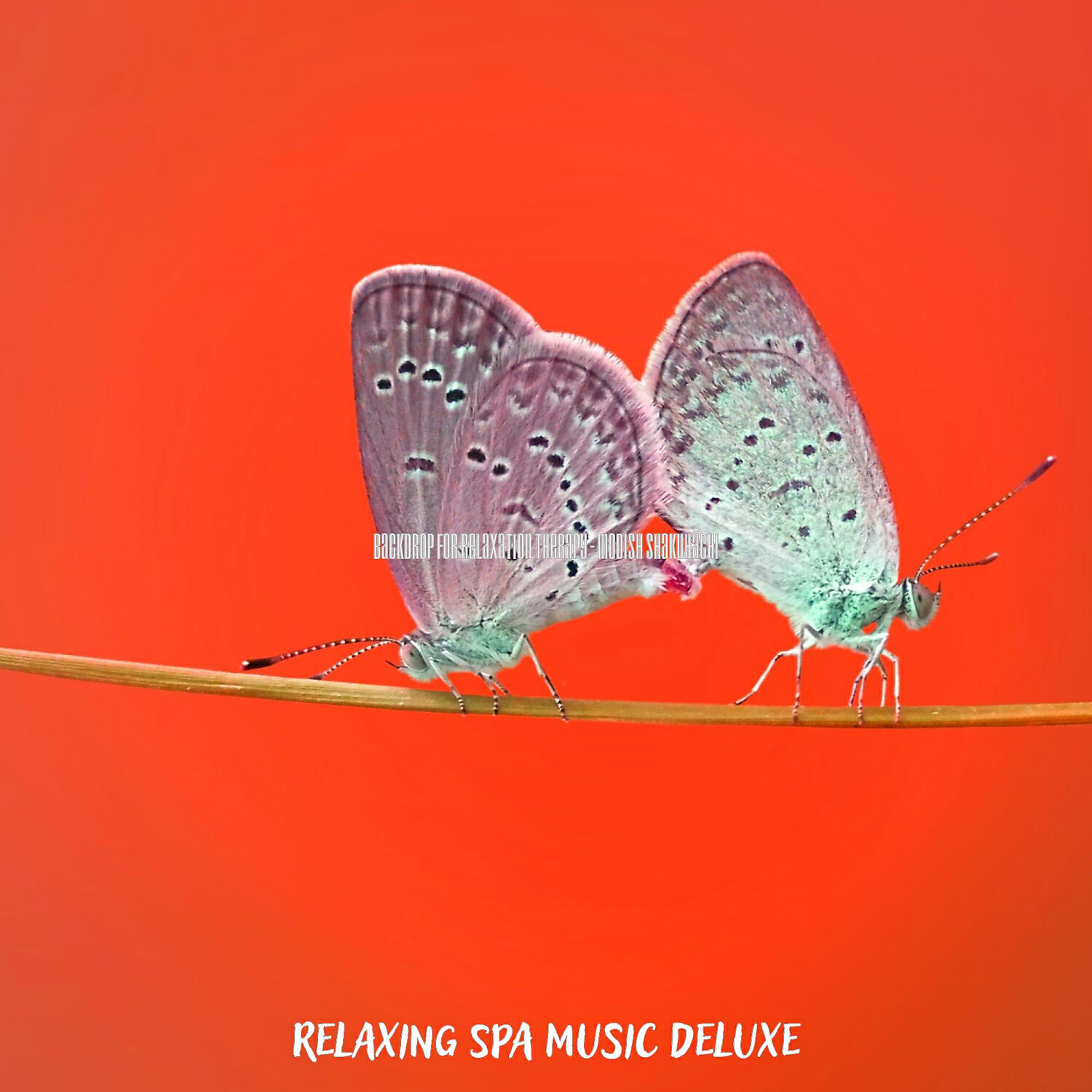 Relaxing Spa Music Deluxe - Refined Guitar and Flute - Vibe for Relaxation Therapy