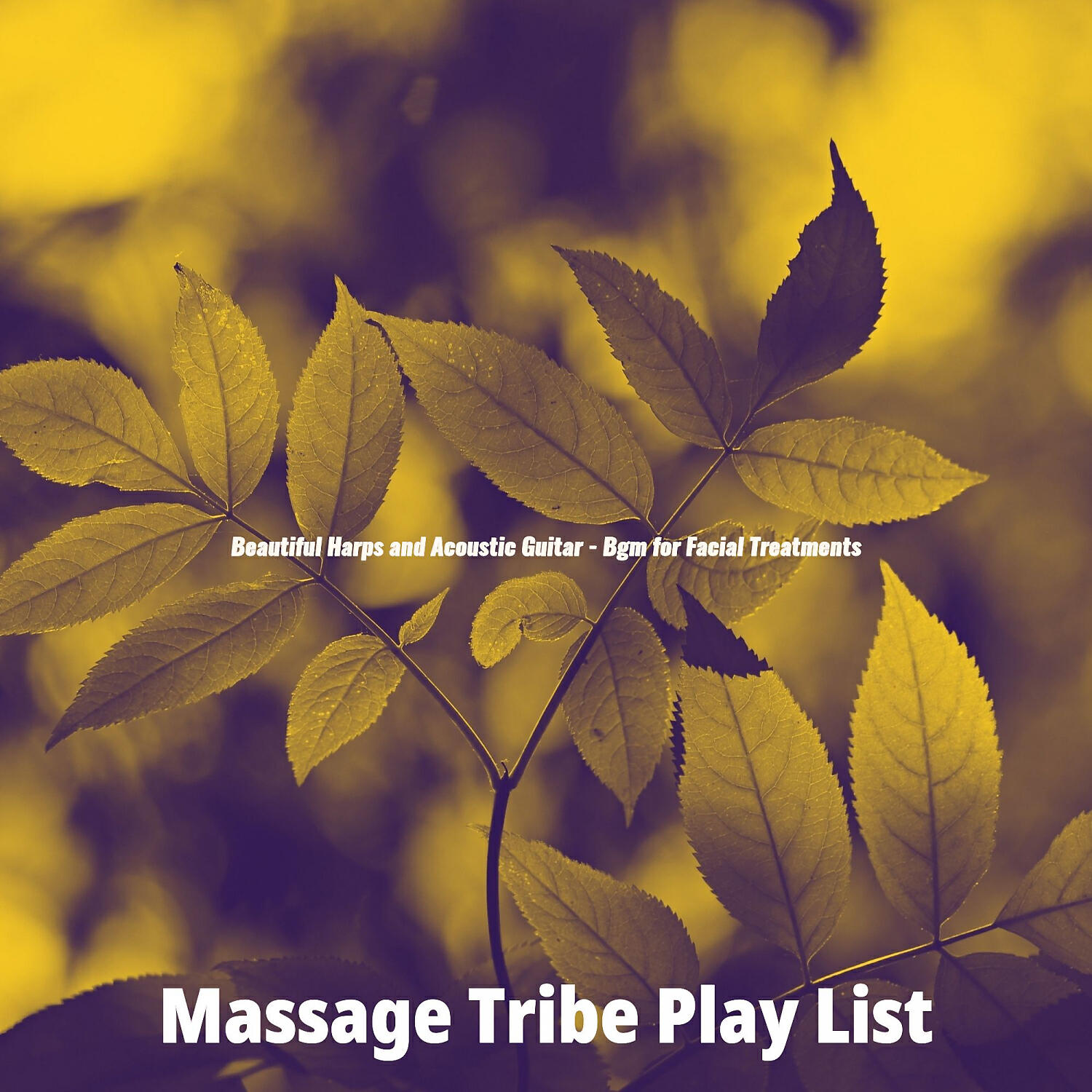Massage Tribe Play List - Happy Deep Tissue Massage