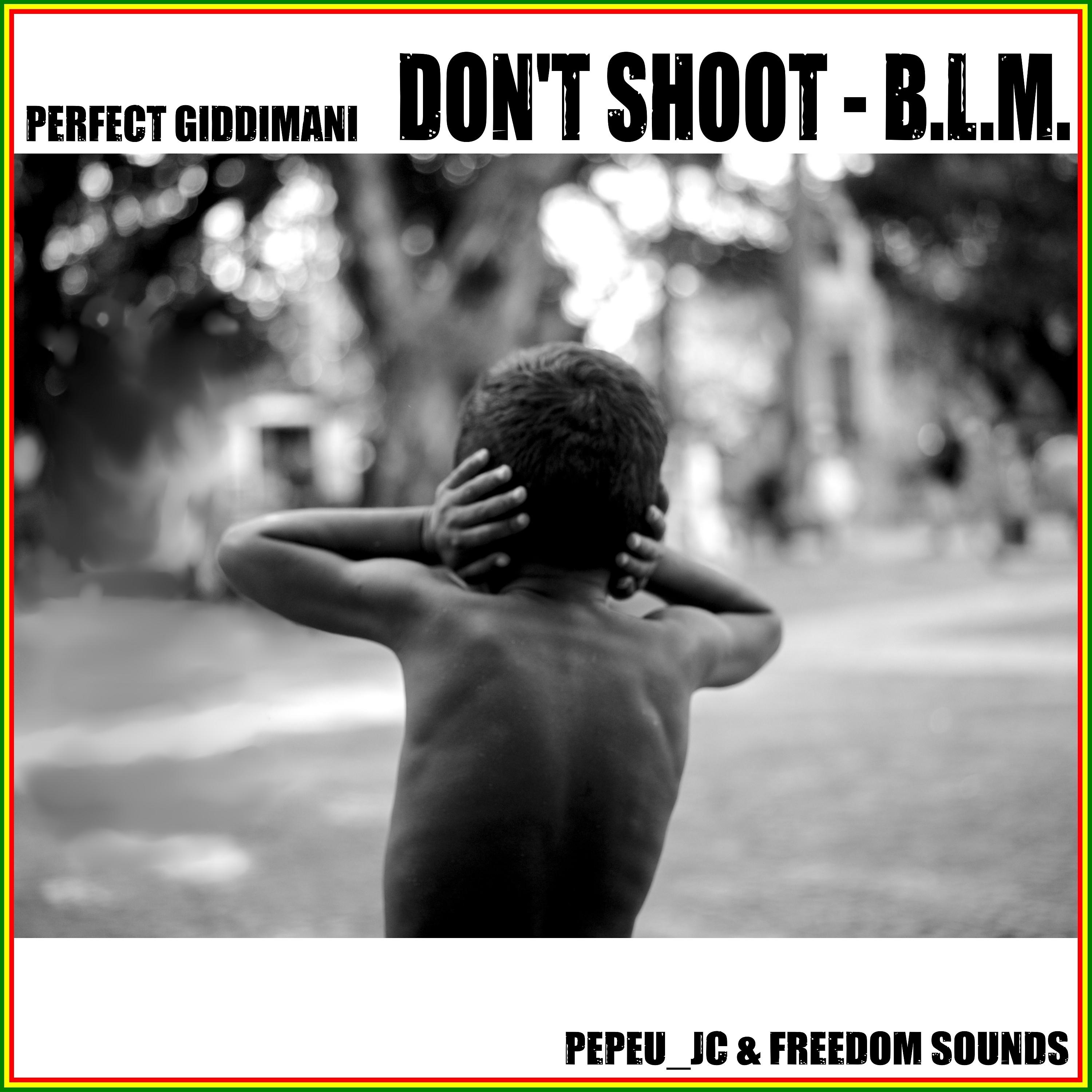 Постер альбома DON'T SHOOT - B.L.M.