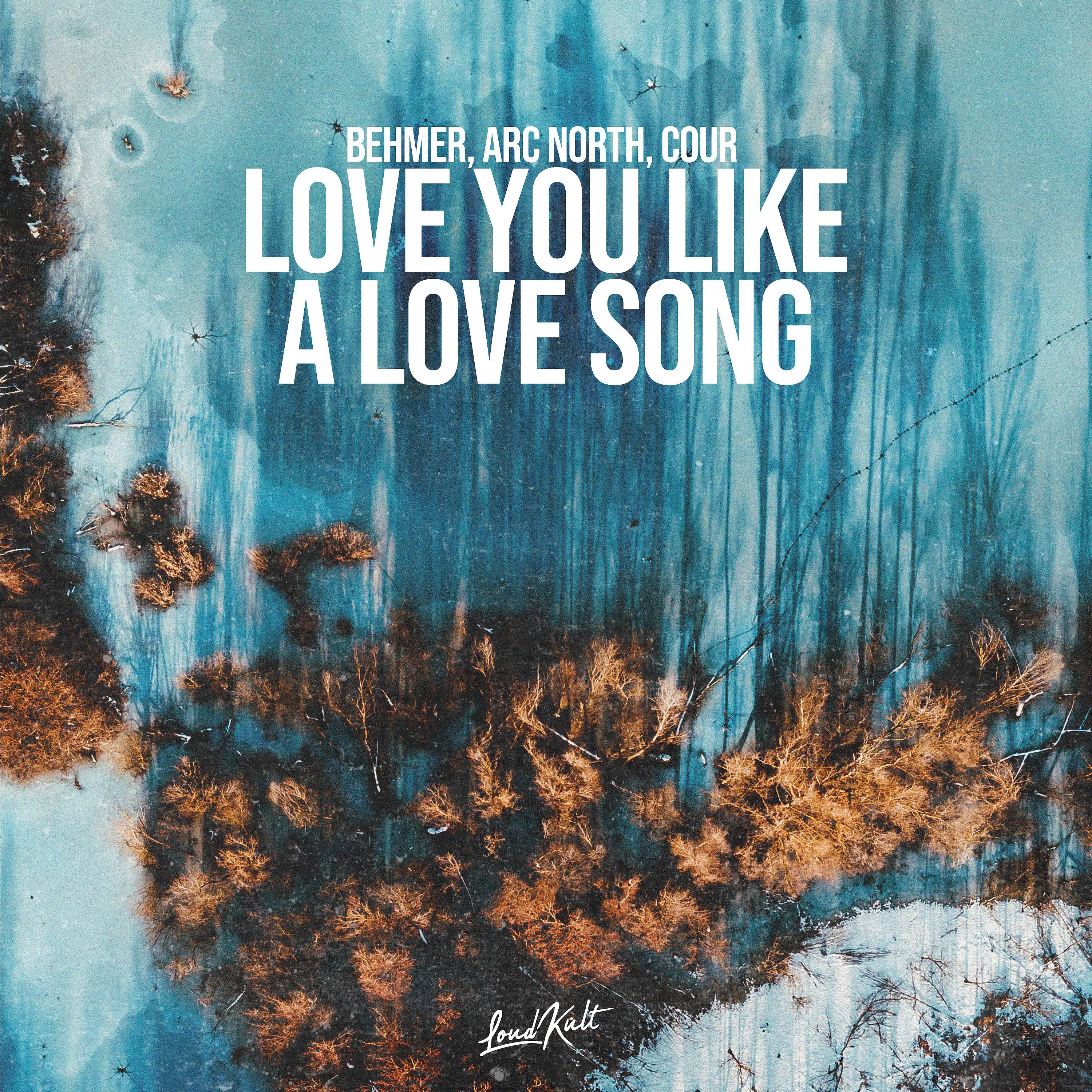 Постер альбома Love You Like a Love Song
