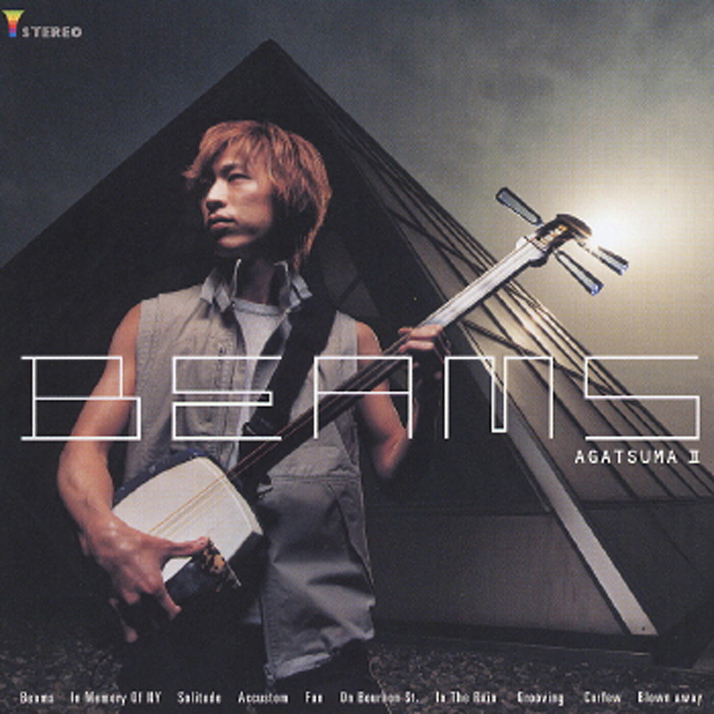 Hiromitsu Agatsuma - Accustom