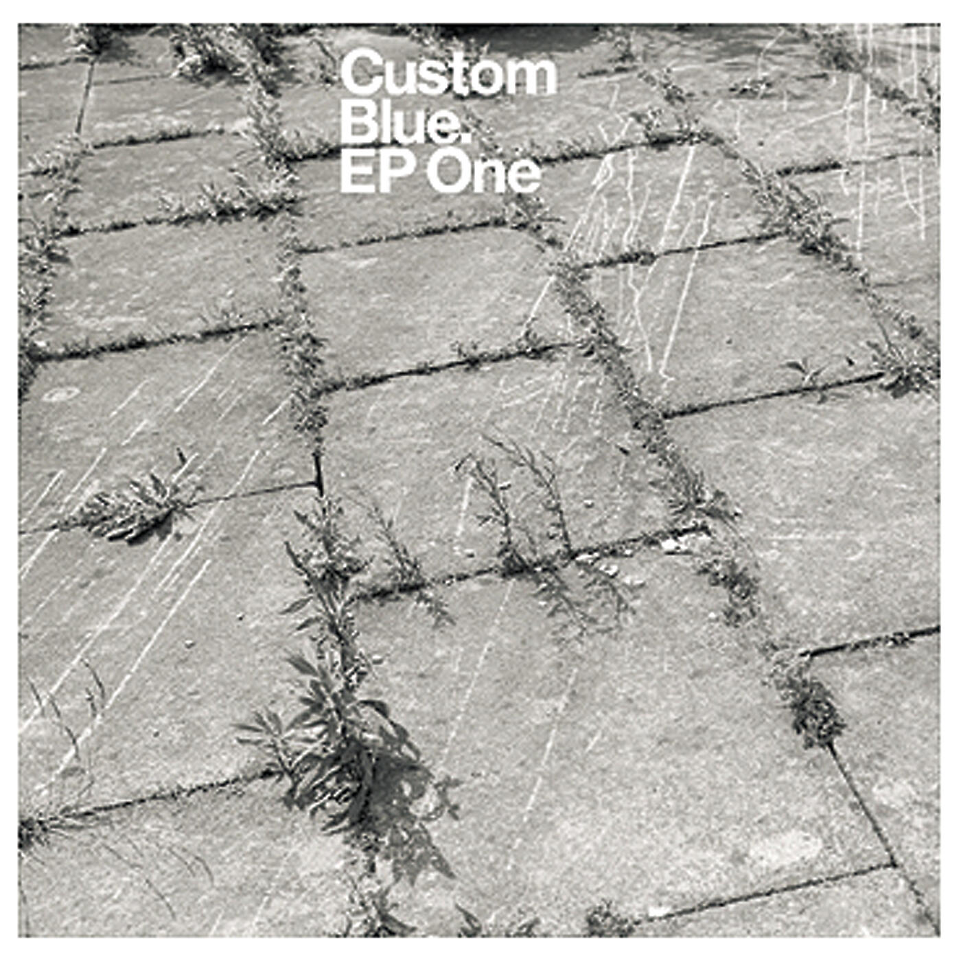 Custom Blue - Concentration