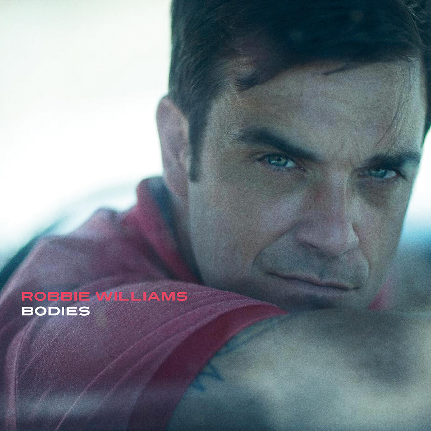 Robbie Williams - Bodies (Fred Falke Remix)