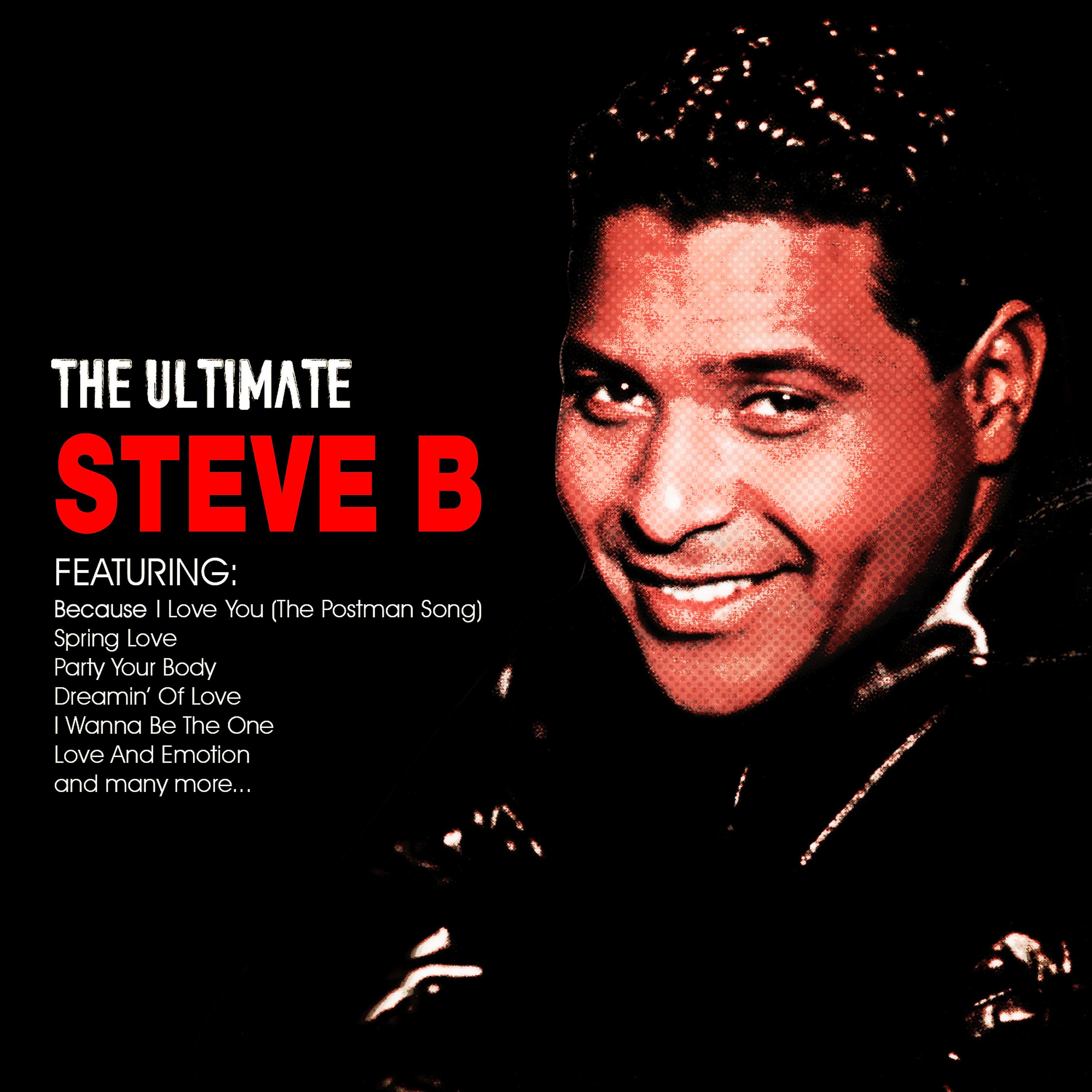 Stevie B - Because I Love You (The Postman Song) (Rerecorded)