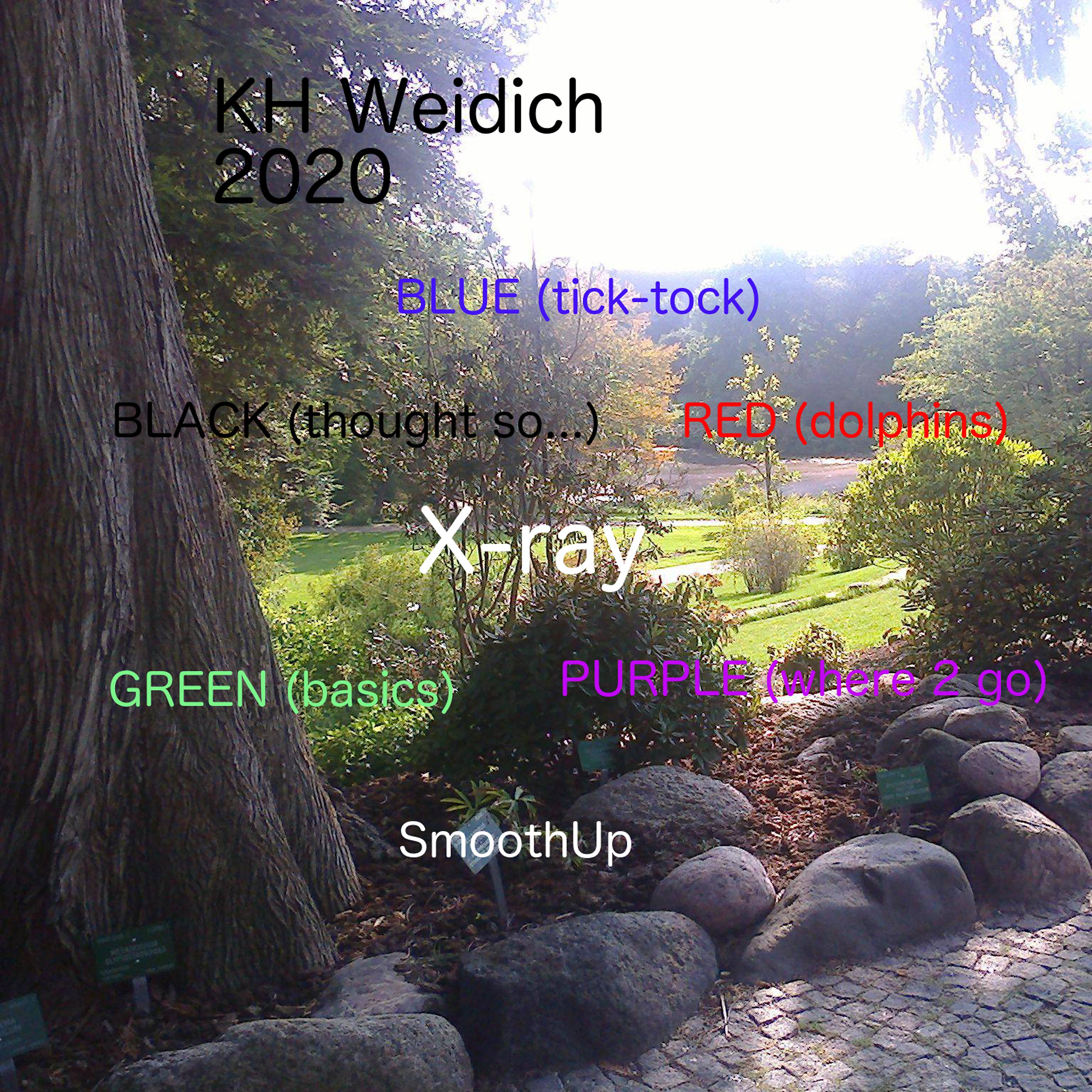 Постер альбома Kh Weidich 2020